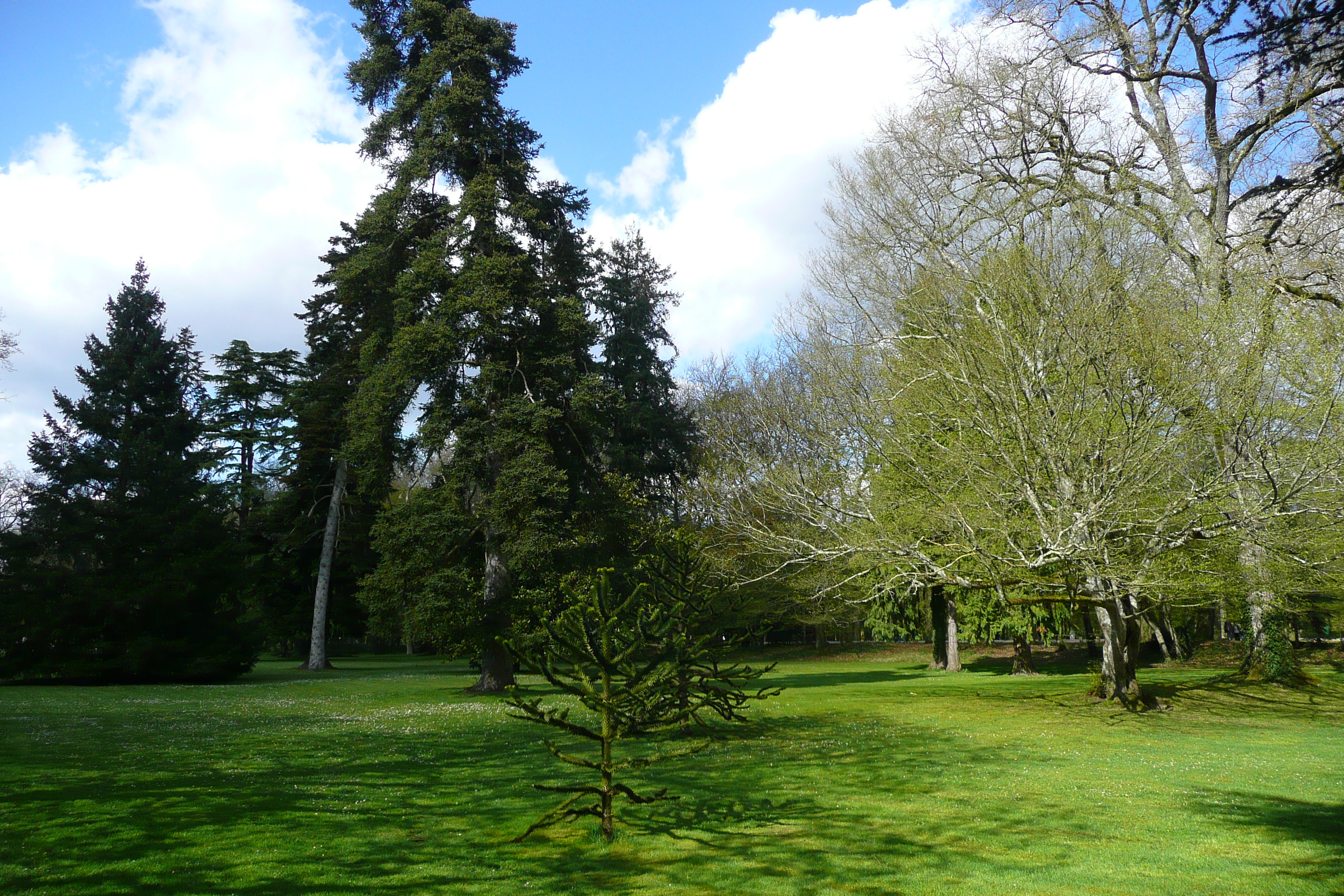 Picture France Chenonceau Castle Gardens of Chenonceau 2008-04 0 - Around Gardens of Chenonceau