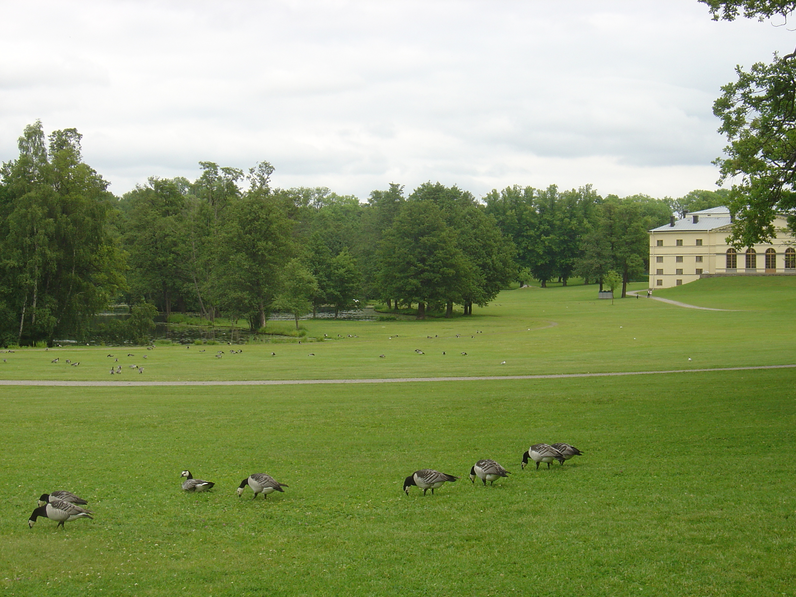 Picture Sweden Drottningholm 2005-06 6 - Recreation Drottningholm