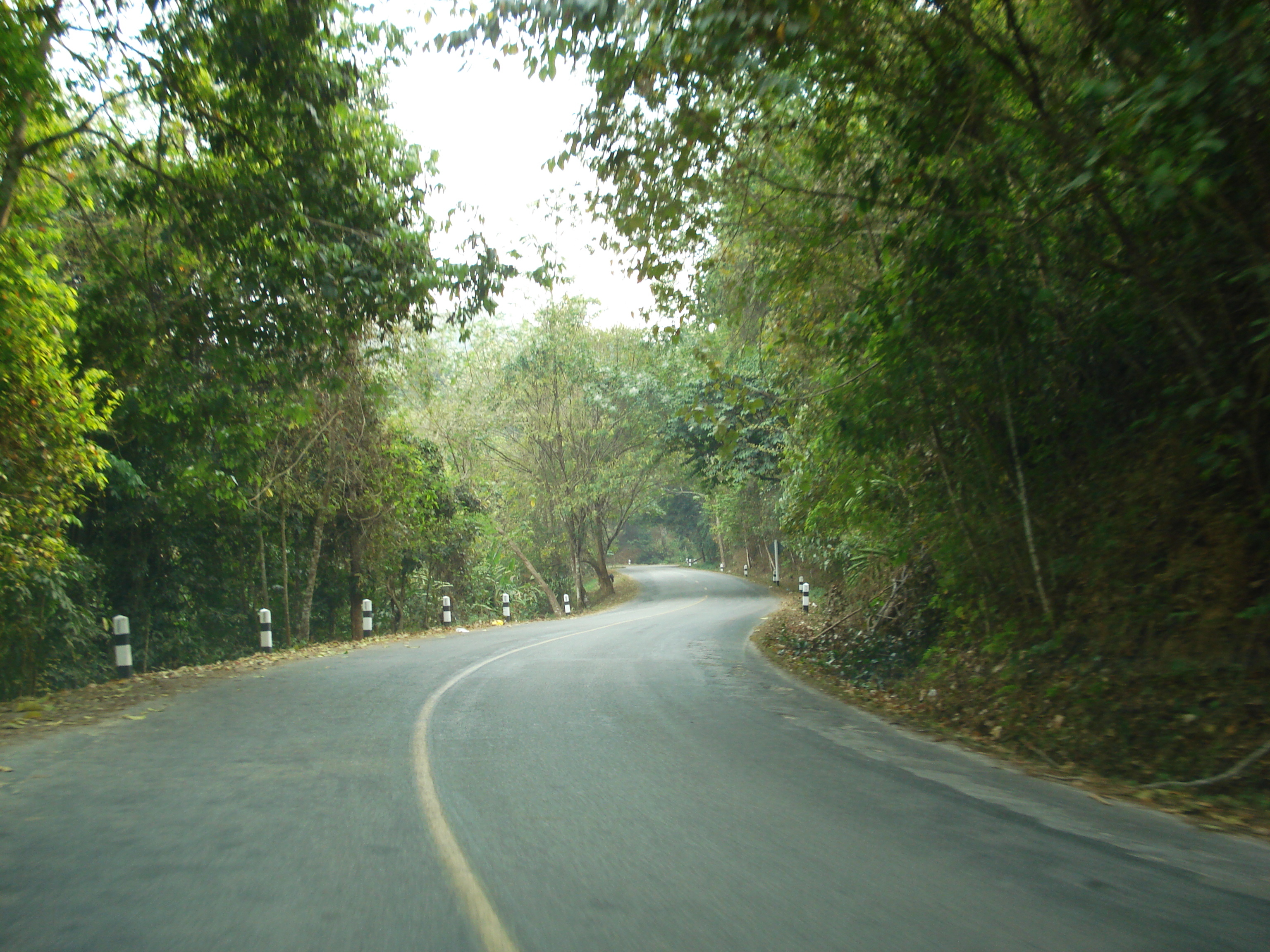 Picture Thailand Chiang Mai to Pai road 2007-02 123 - Around Chiang Mai to Pai road