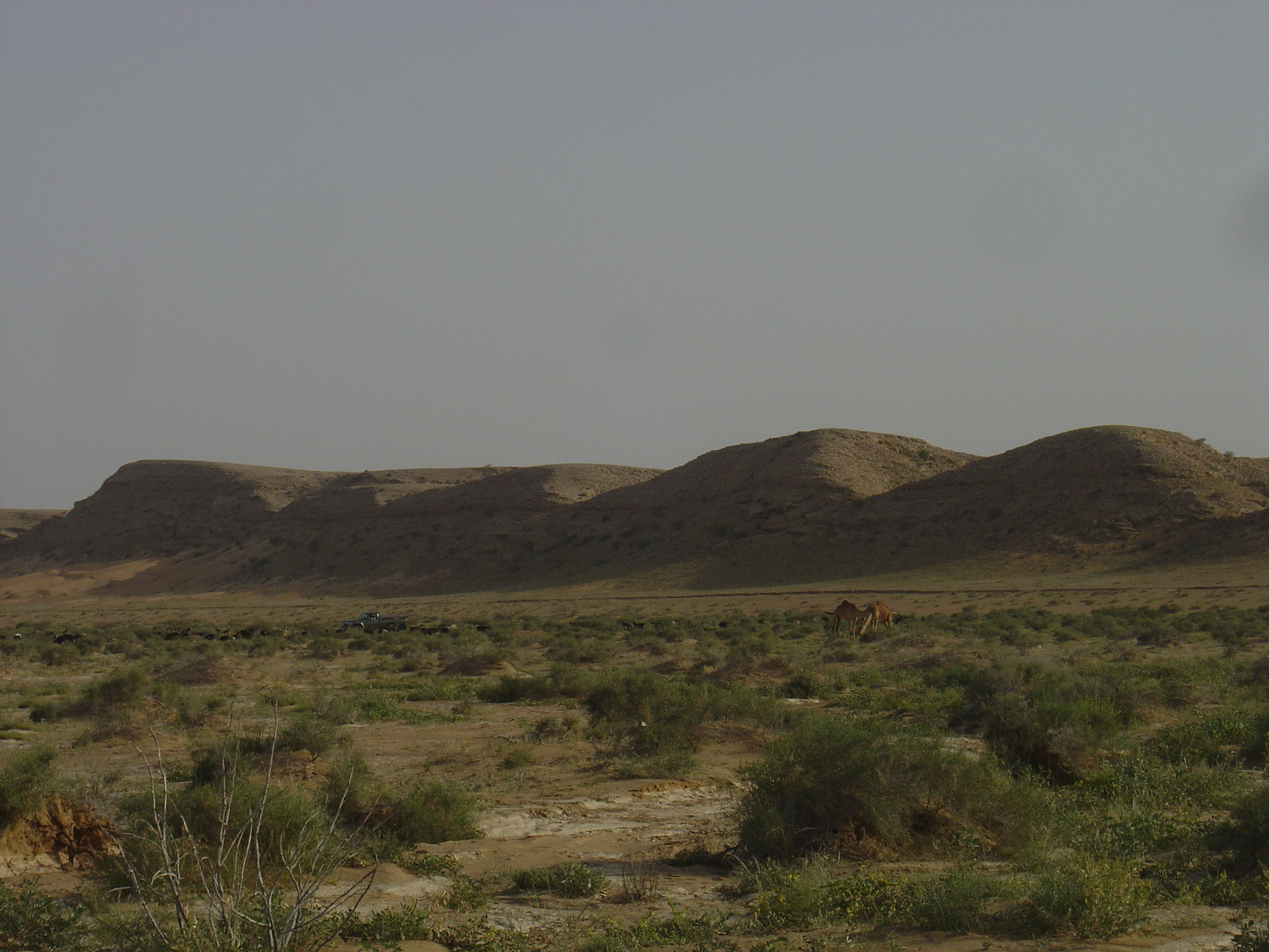 Picture Sultanate of Oman Buraimi to Mahada road 2005-03 38 - History Buraimi to Mahada road