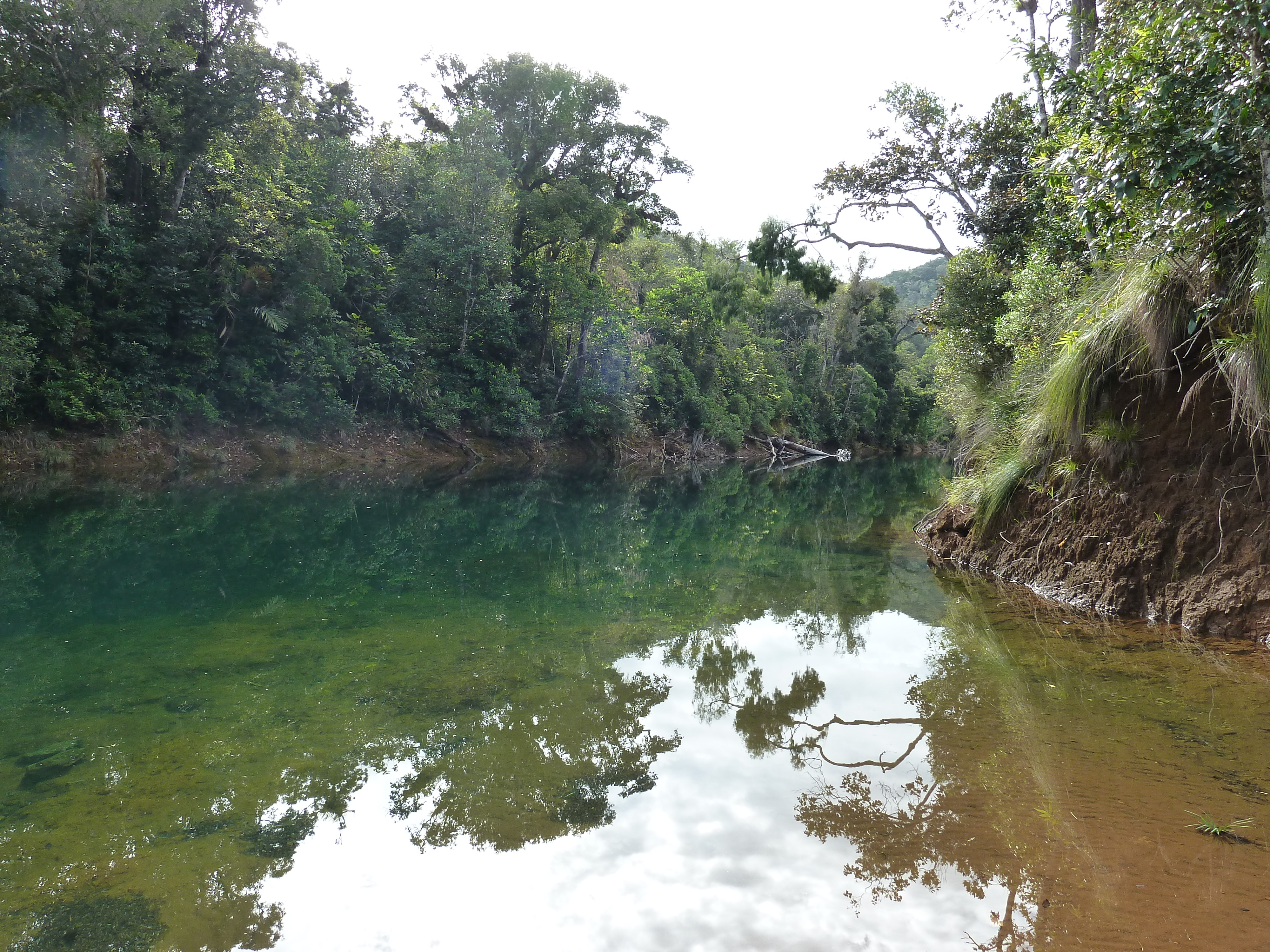 Picture New Caledonia Parc de la Riviere Bleue 2010-05 160 - Tours Parc de la Riviere Bleue