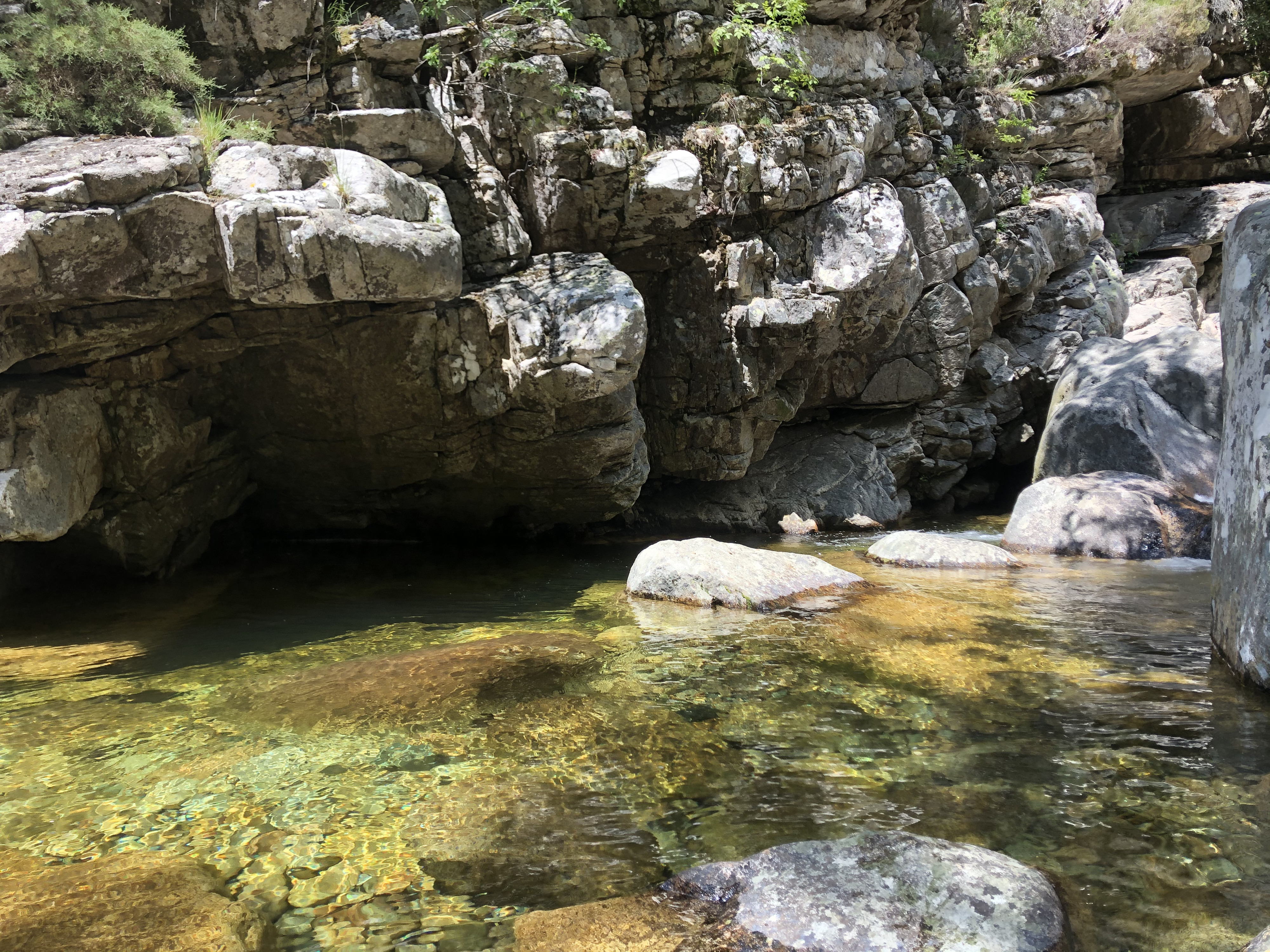 Picture France Corsica Aitone Forest 2021-06 20 - Tours Aitone Forest