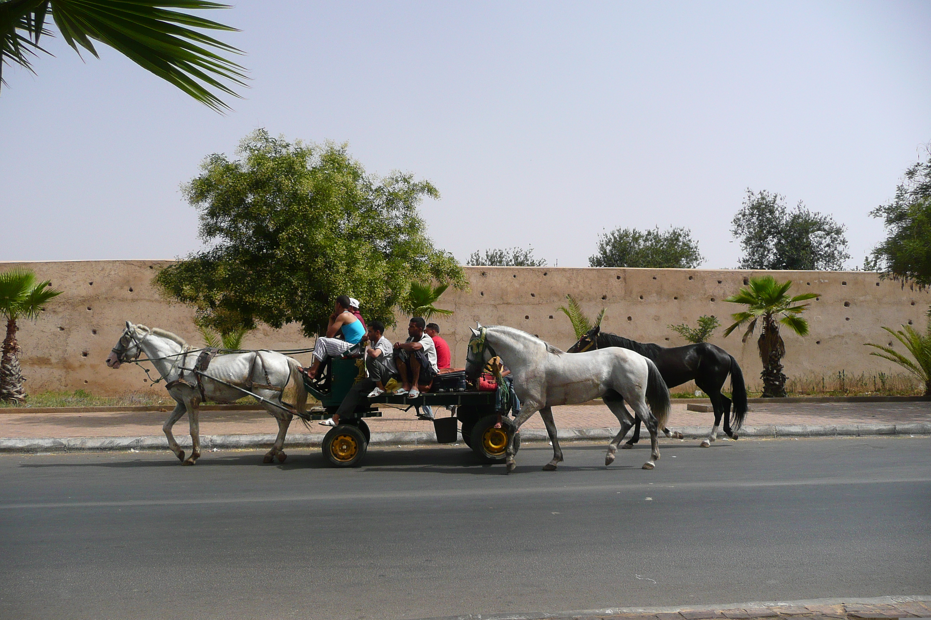 Picture Morocco Meknes 2008-07 51 - Tours Meknes