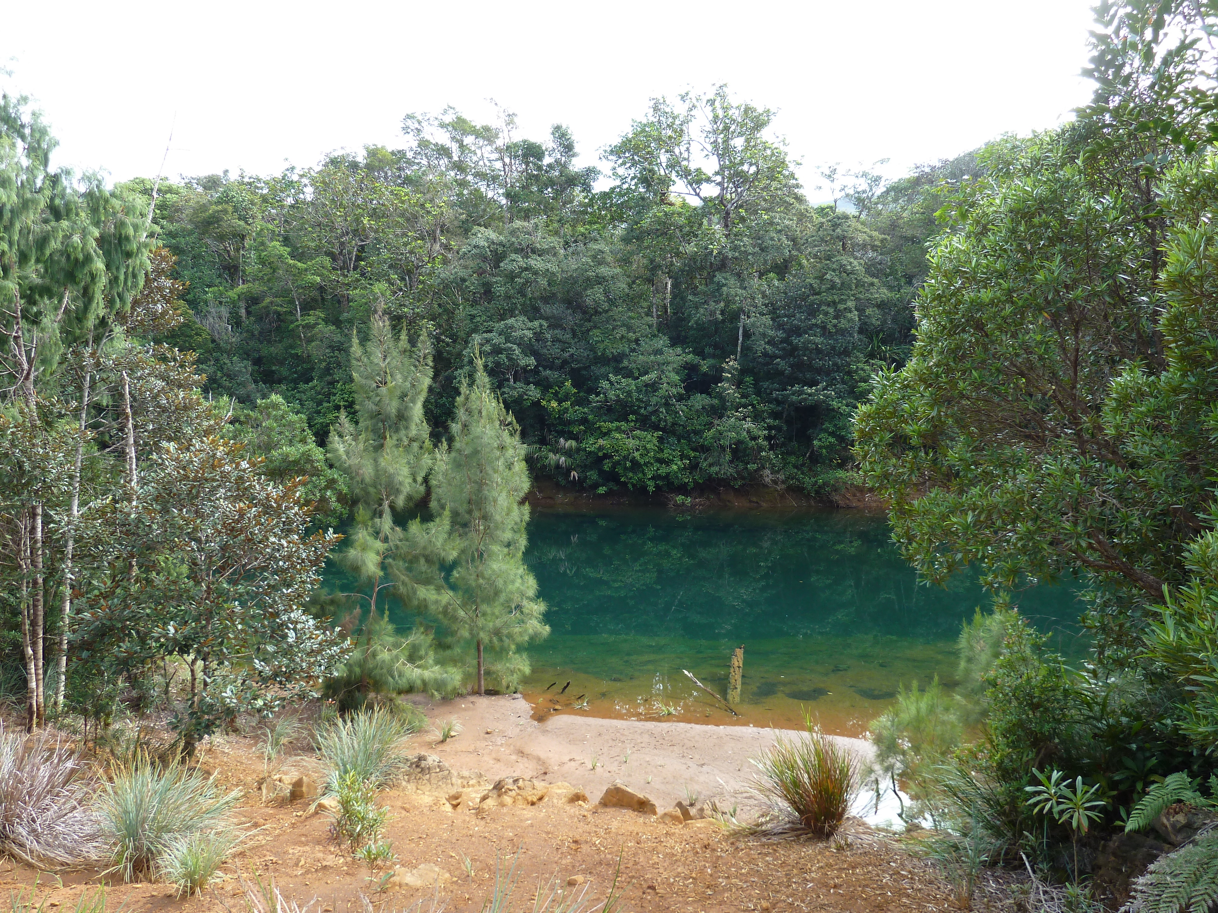 Picture New Caledonia Parc de la Riviere Bleue 2010-05 154 - Around Parc de la Riviere Bleue