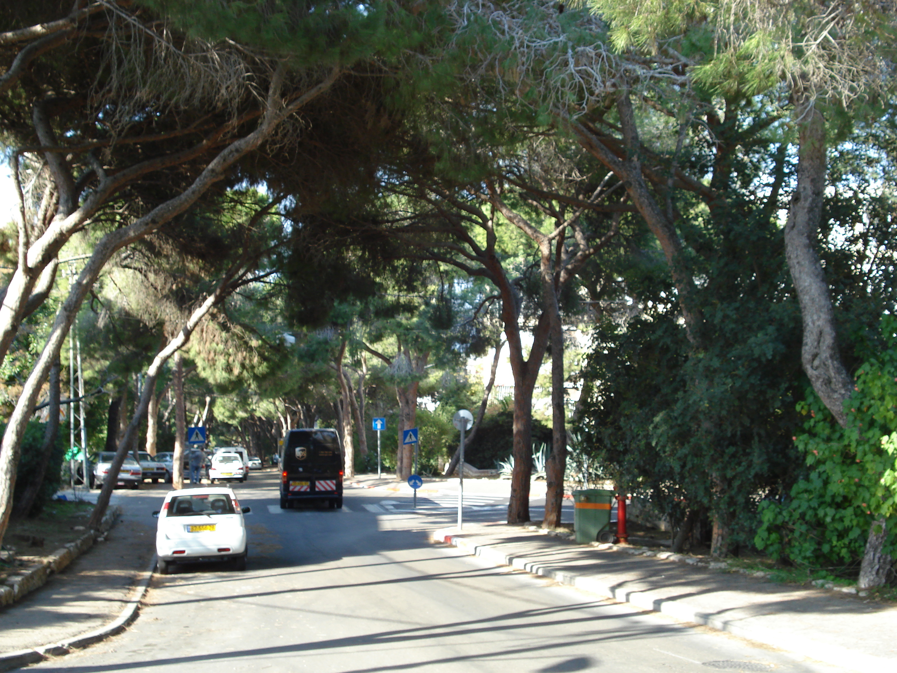 Picture Israel Haifa Carmel 2006-12 69 - Tours Carmel