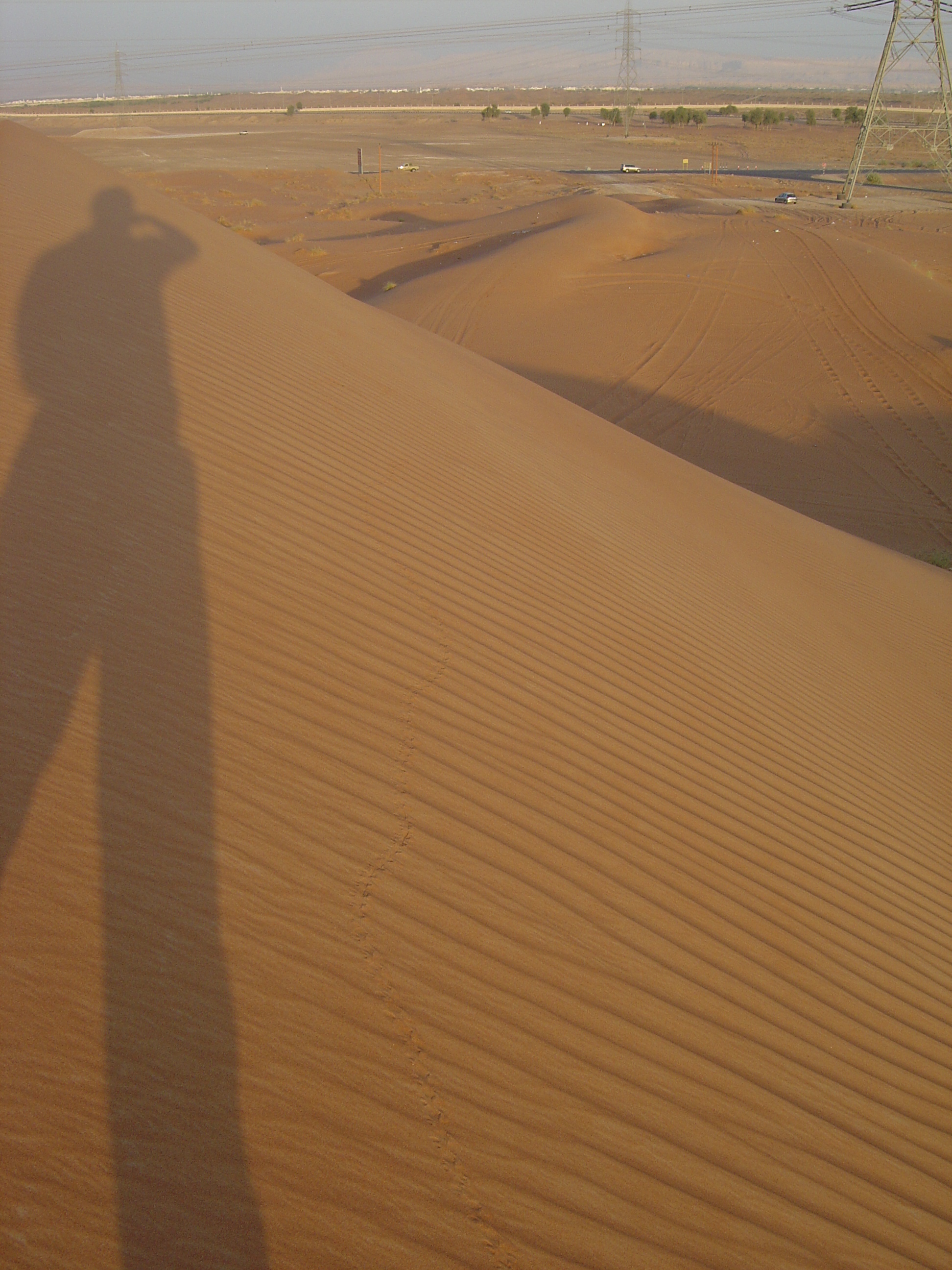 Picture United Arab Emirates Al Ain Desert 2005-11 12 - Tours Desert