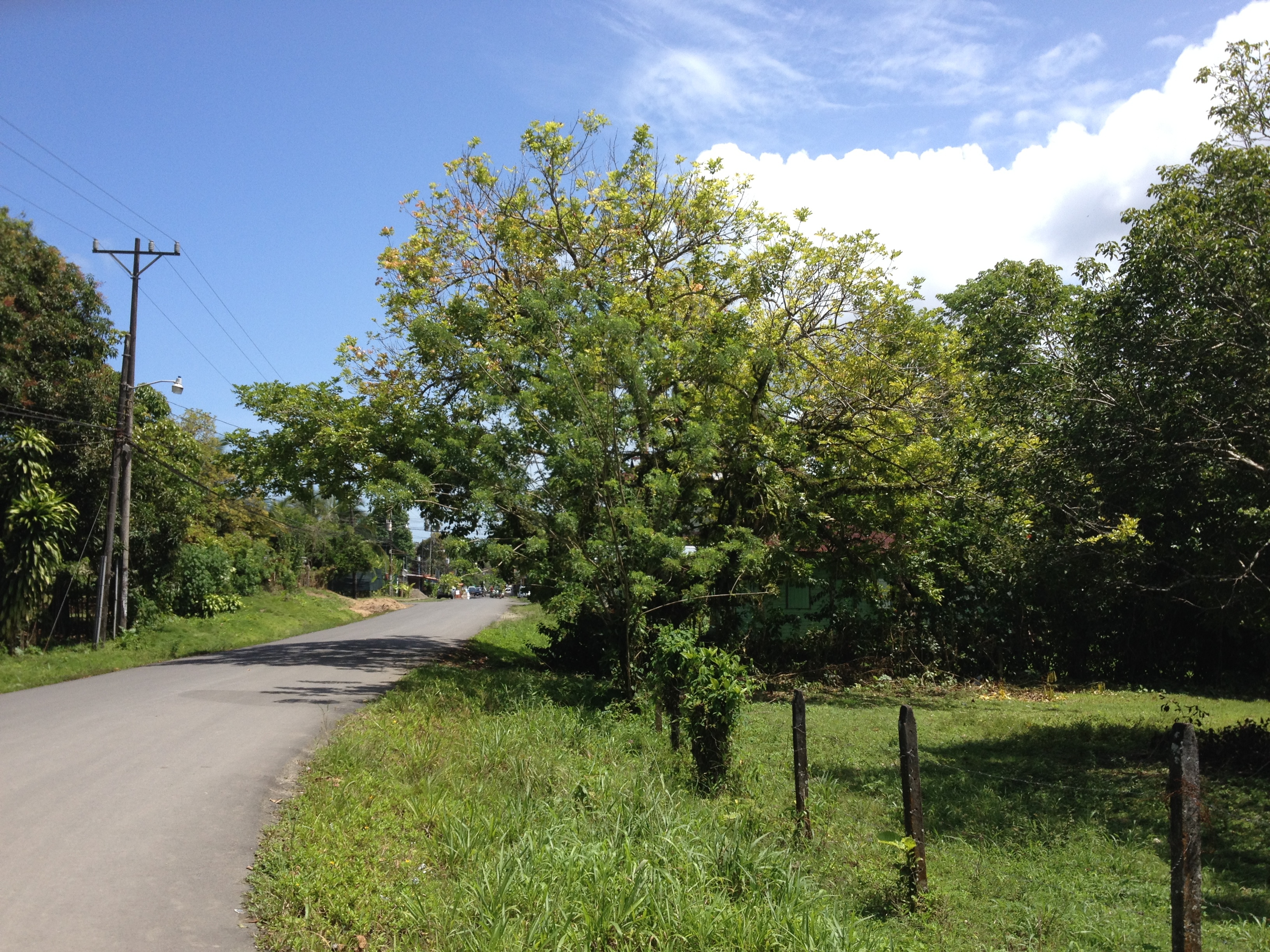 Picture Costa Rica Cahuita 2015-03 225 - Center Cahuita