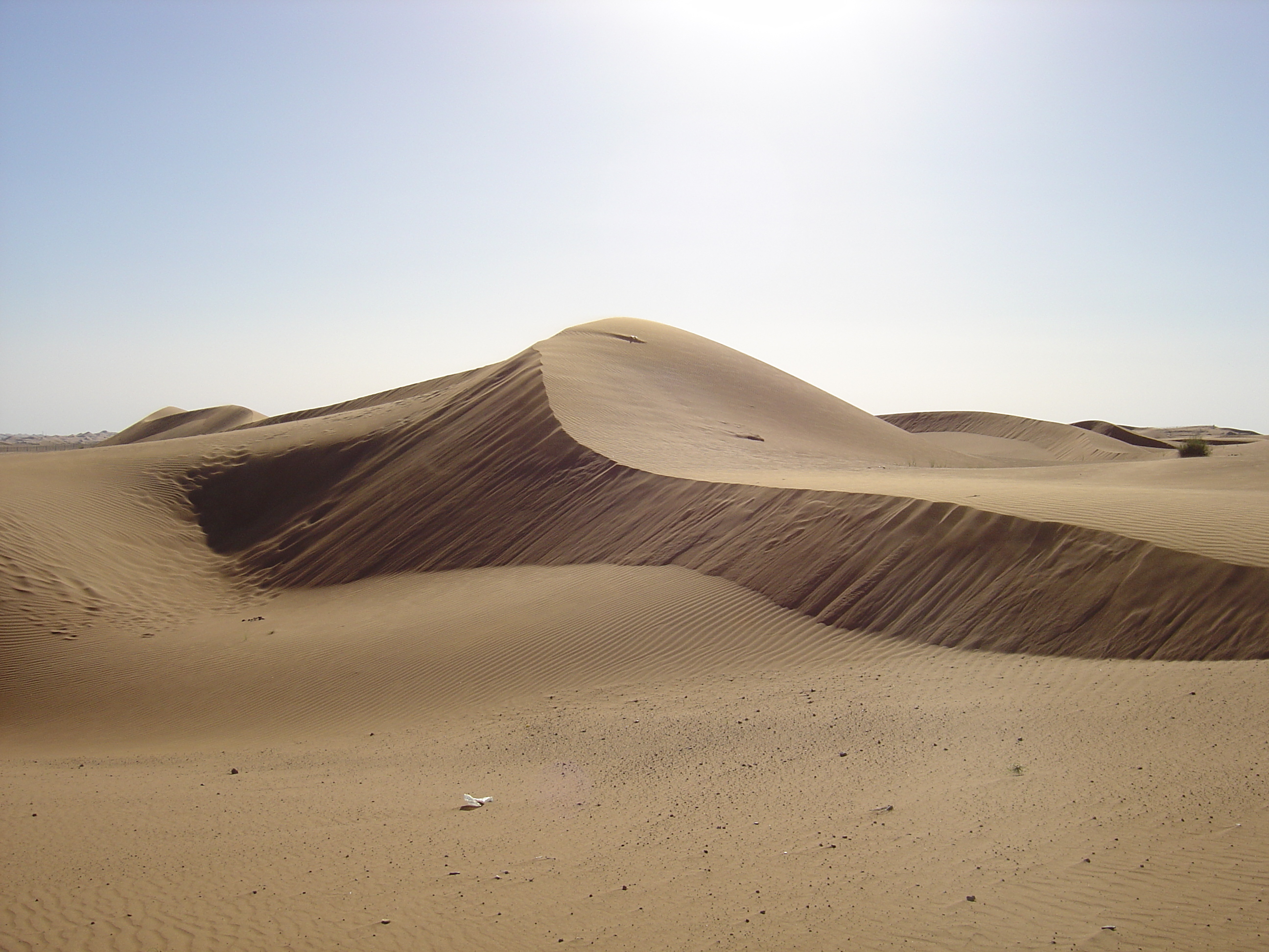 Picture United Arab Emirates Dubai to Al Ain road 2005-03 27 - History Dubai to Al Ain road