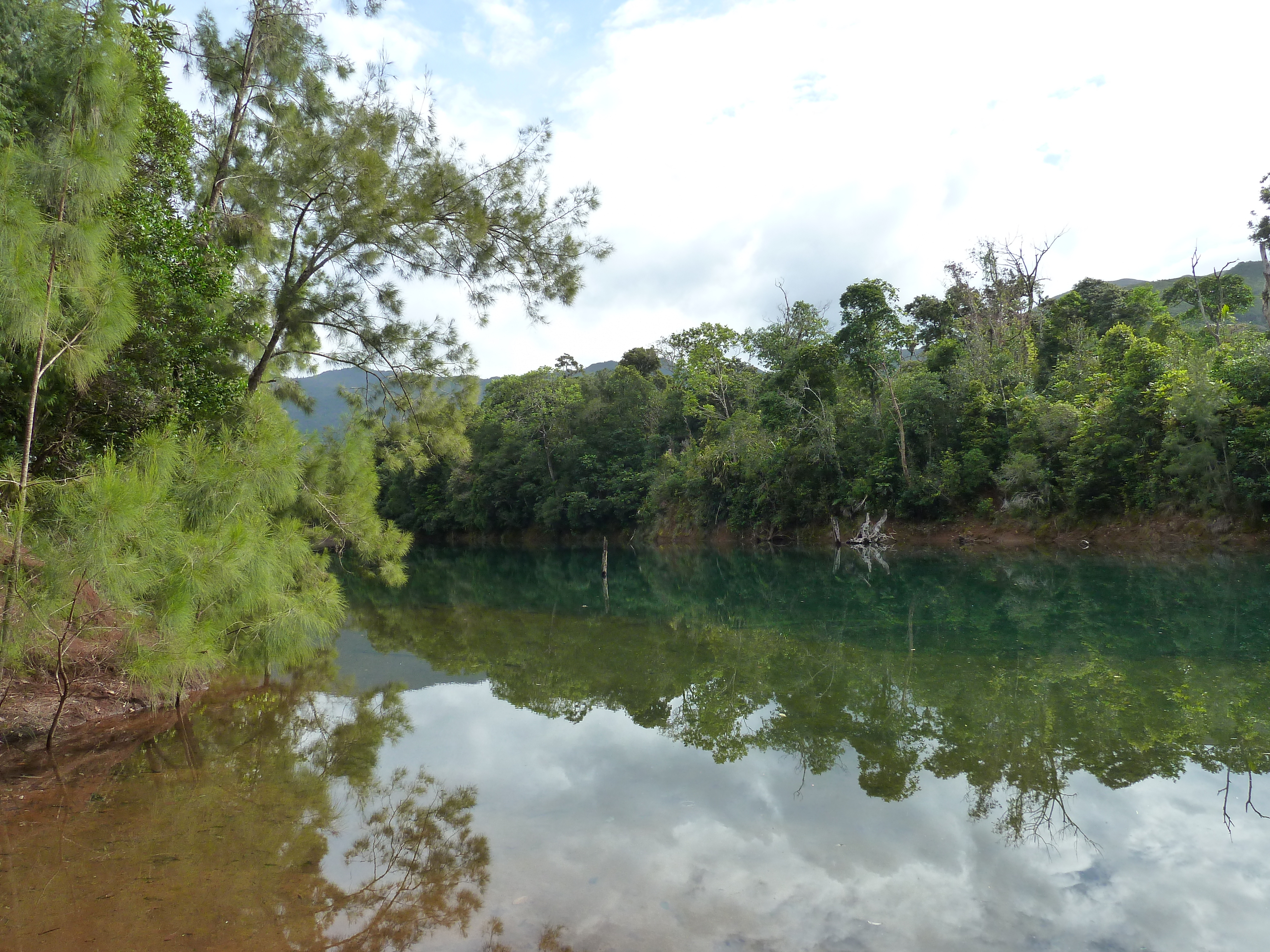 Picture New Caledonia Parc de la Riviere Bleue 2010-05 146 - Around Parc de la Riviere Bleue