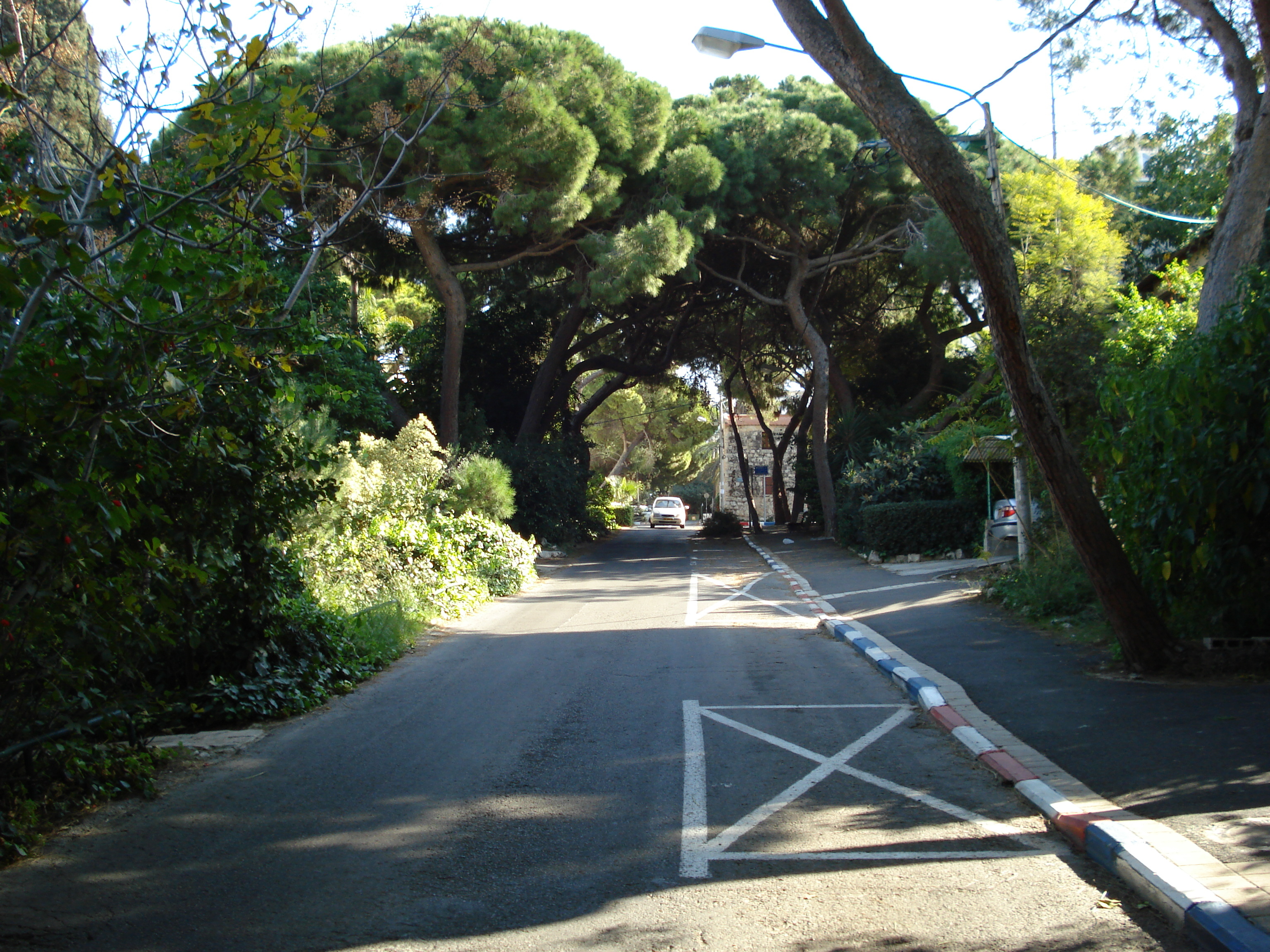 Picture Israel Haifa Carmel 2006-12 24 - History Carmel