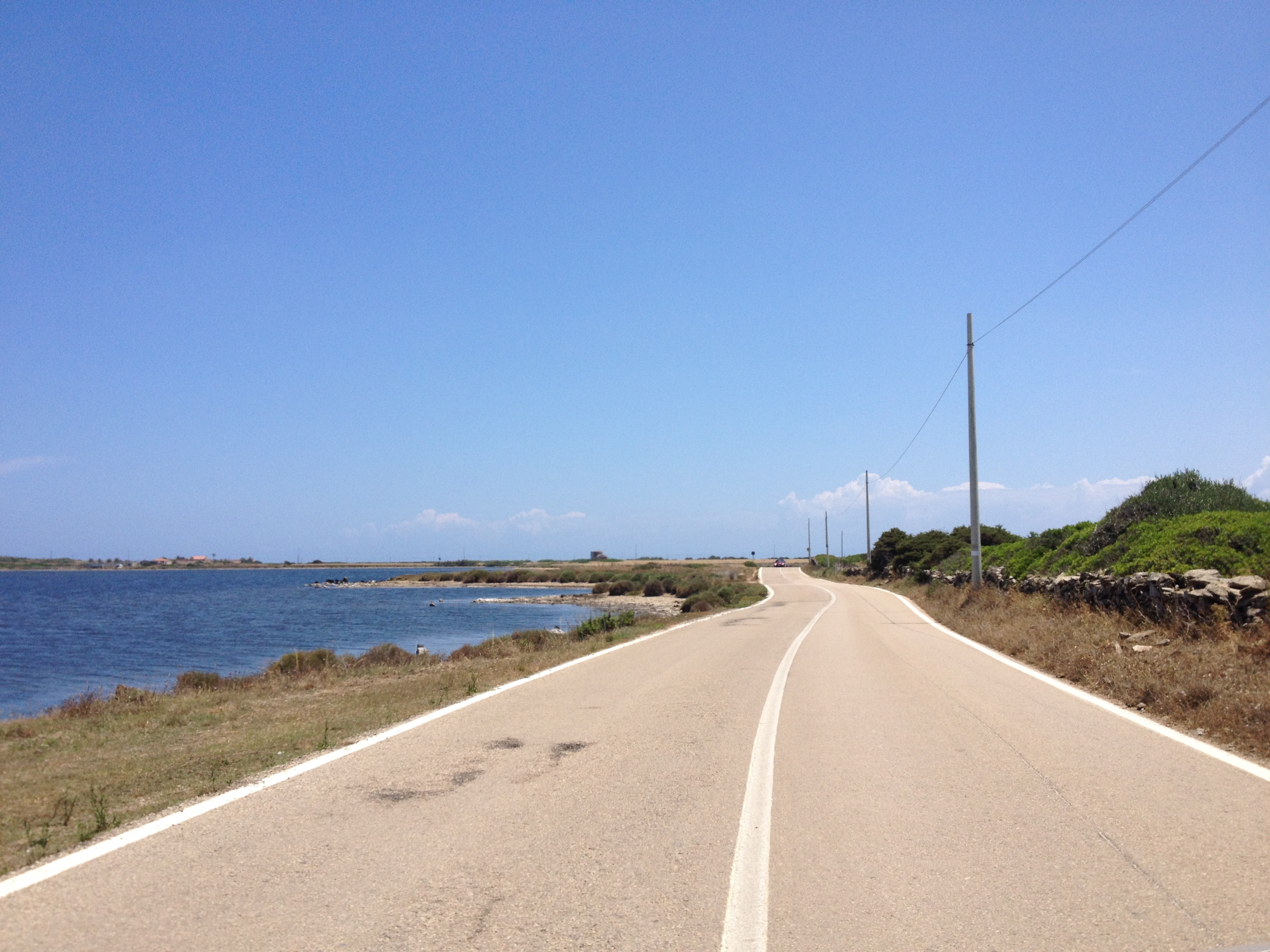 Picture Italy Sardinia Capo del Falcone 2015-06 64 - Around Capo del Falcone