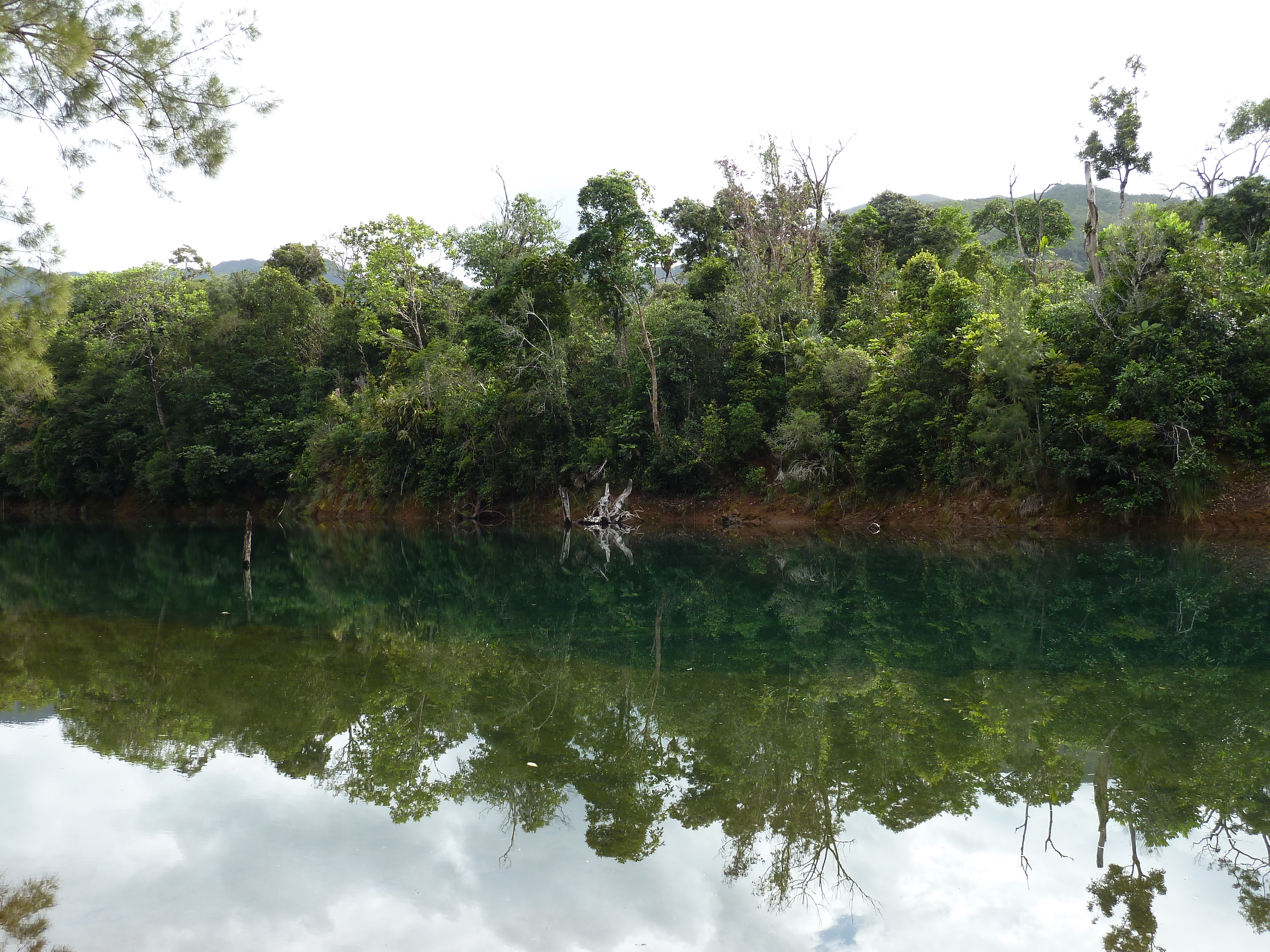 Picture New Caledonia Parc de la Riviere Bleue 2010-05 150 - Tour Parc de la Riviere Bleue