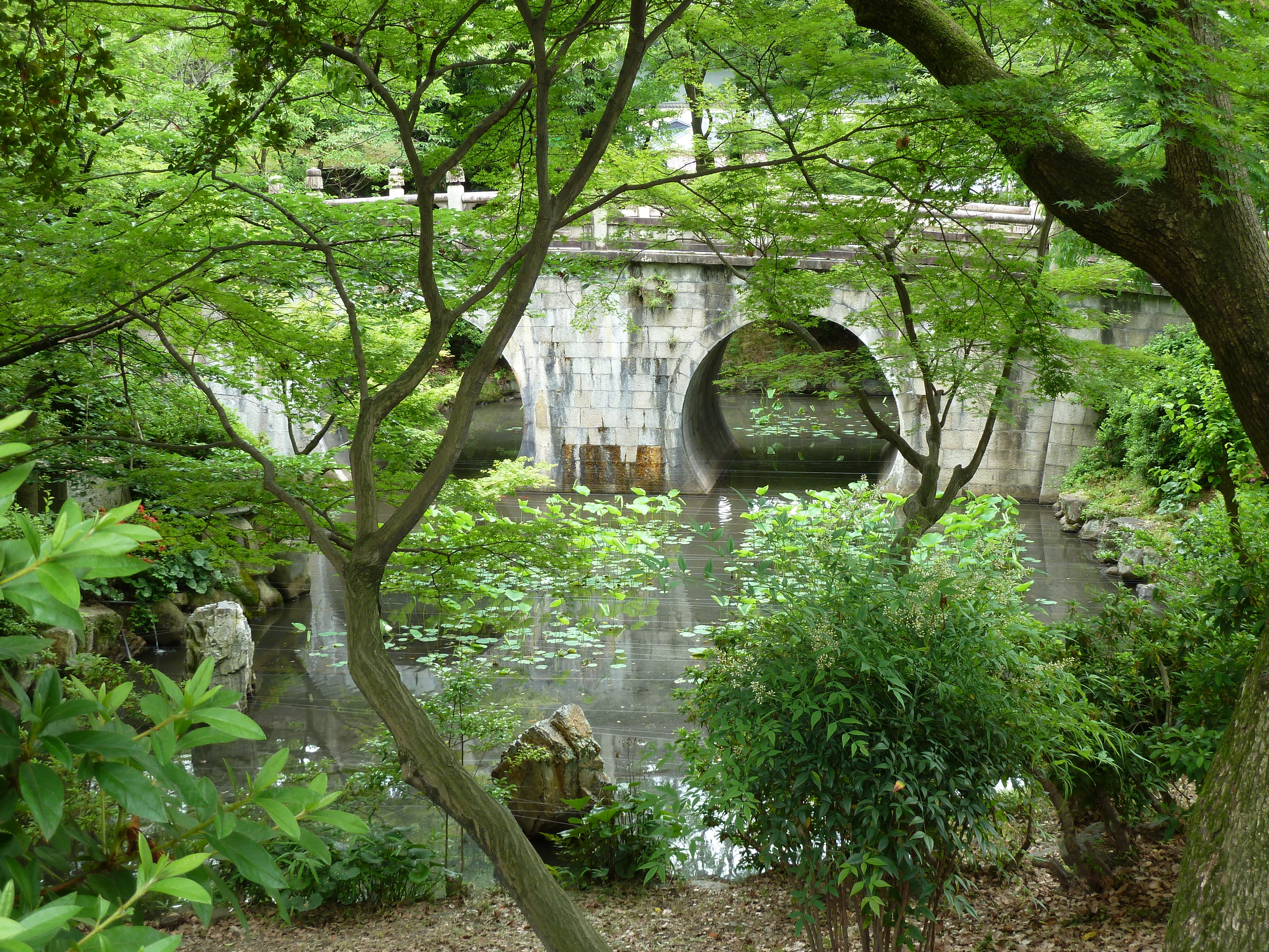 Picture Japan Kyoto 2010-06 20 - Discovery Kyoto