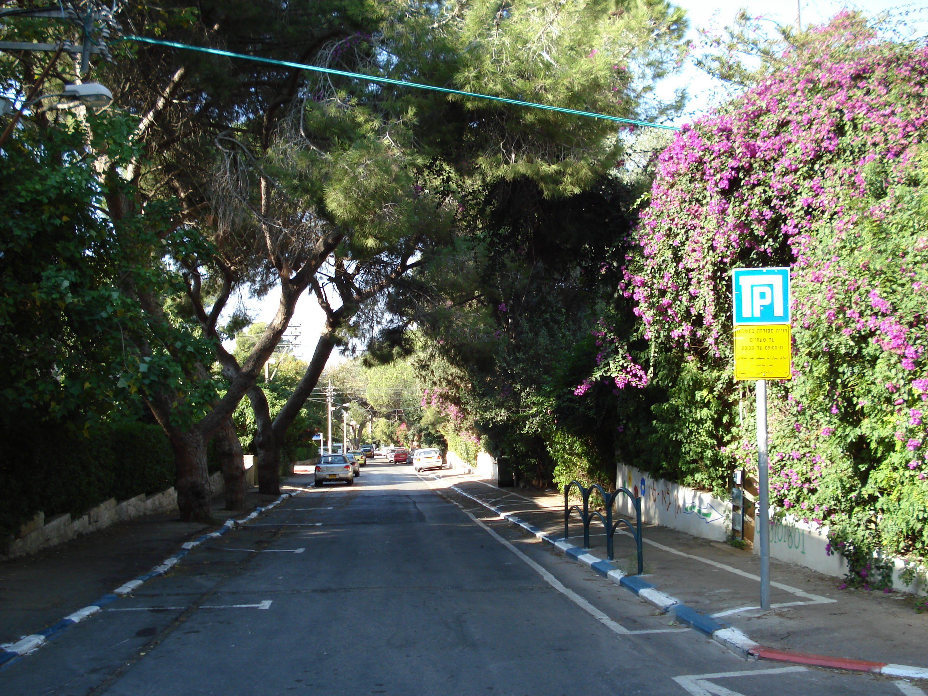 Picture Israel Haifa Carmel 2006-12 39 - Around Carmel