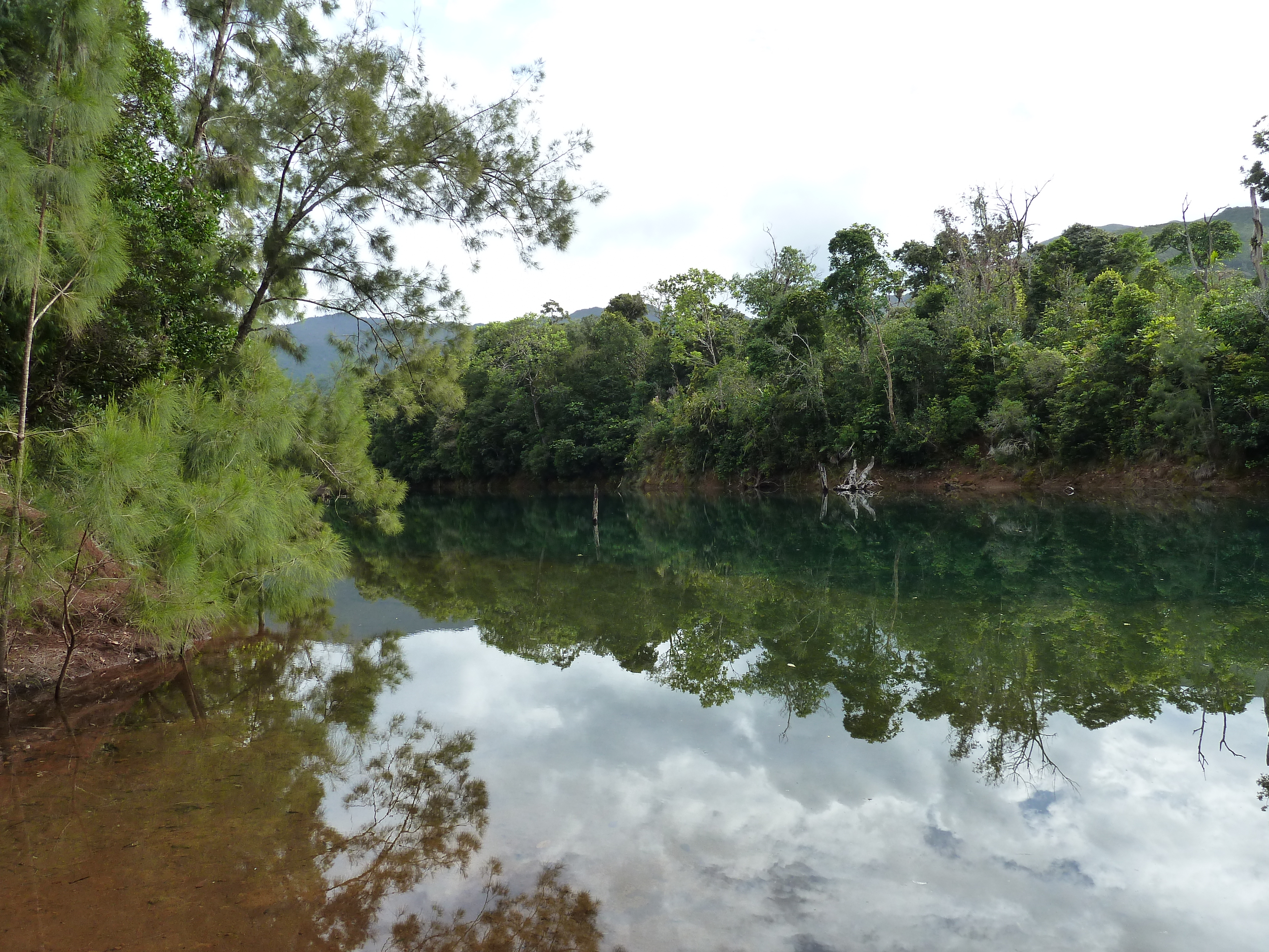 Picture New Caledonia Parc de la Riviere Bleue 2010-05 147 - History Parc de la Riviere Bleue