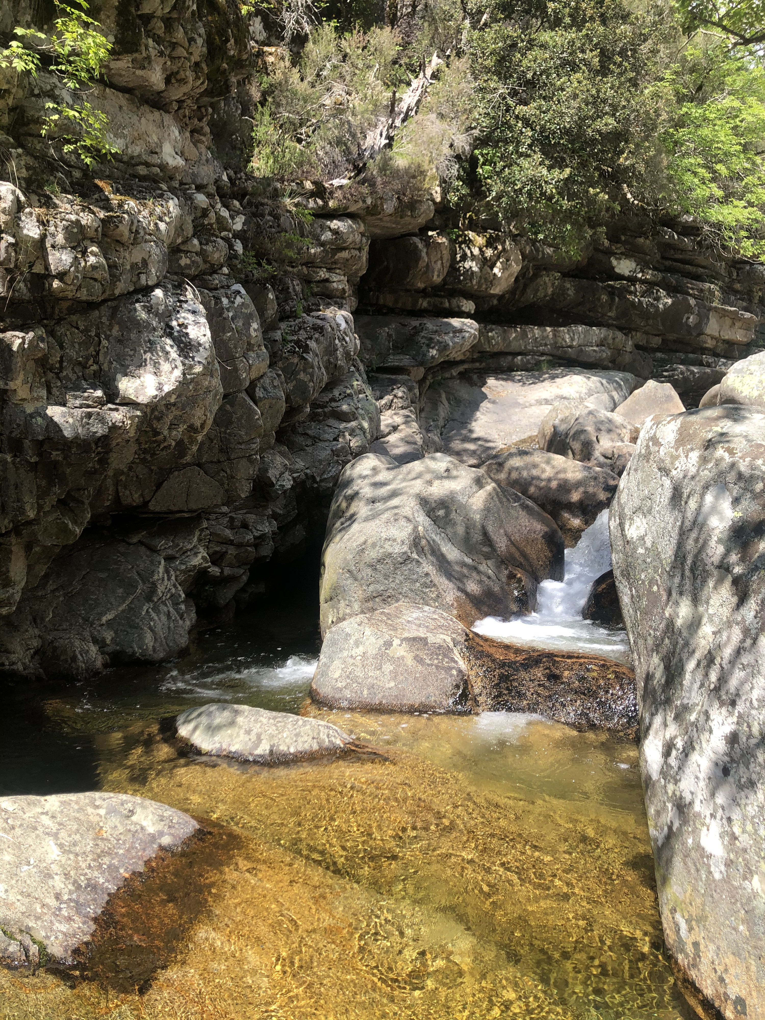 Picture France Corsica Aitone Forest 2021-06 5 - Around Aitone Forest