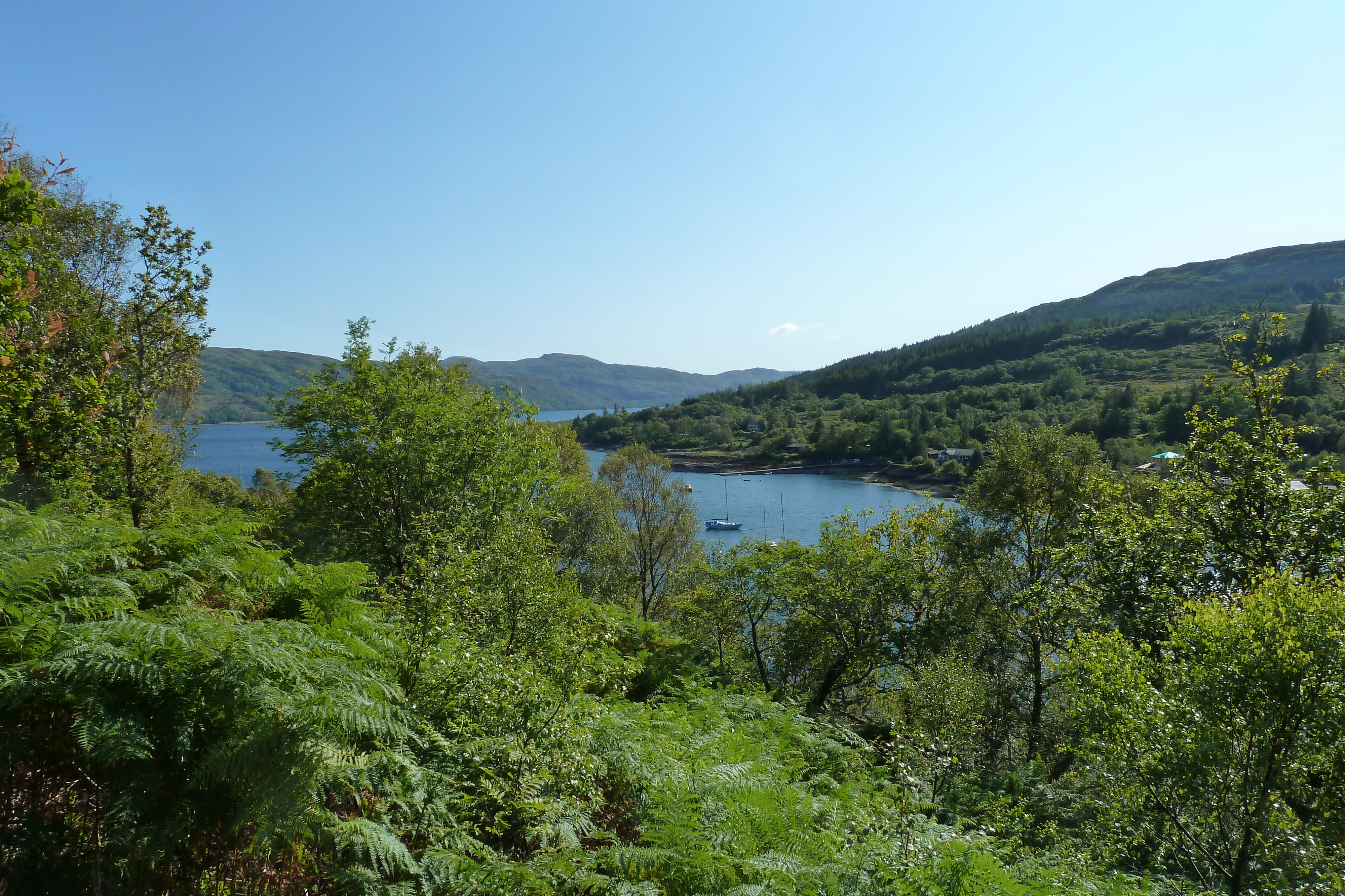 Picture United Kingdom Scotland Salen 2011-07 73 - Around Salen