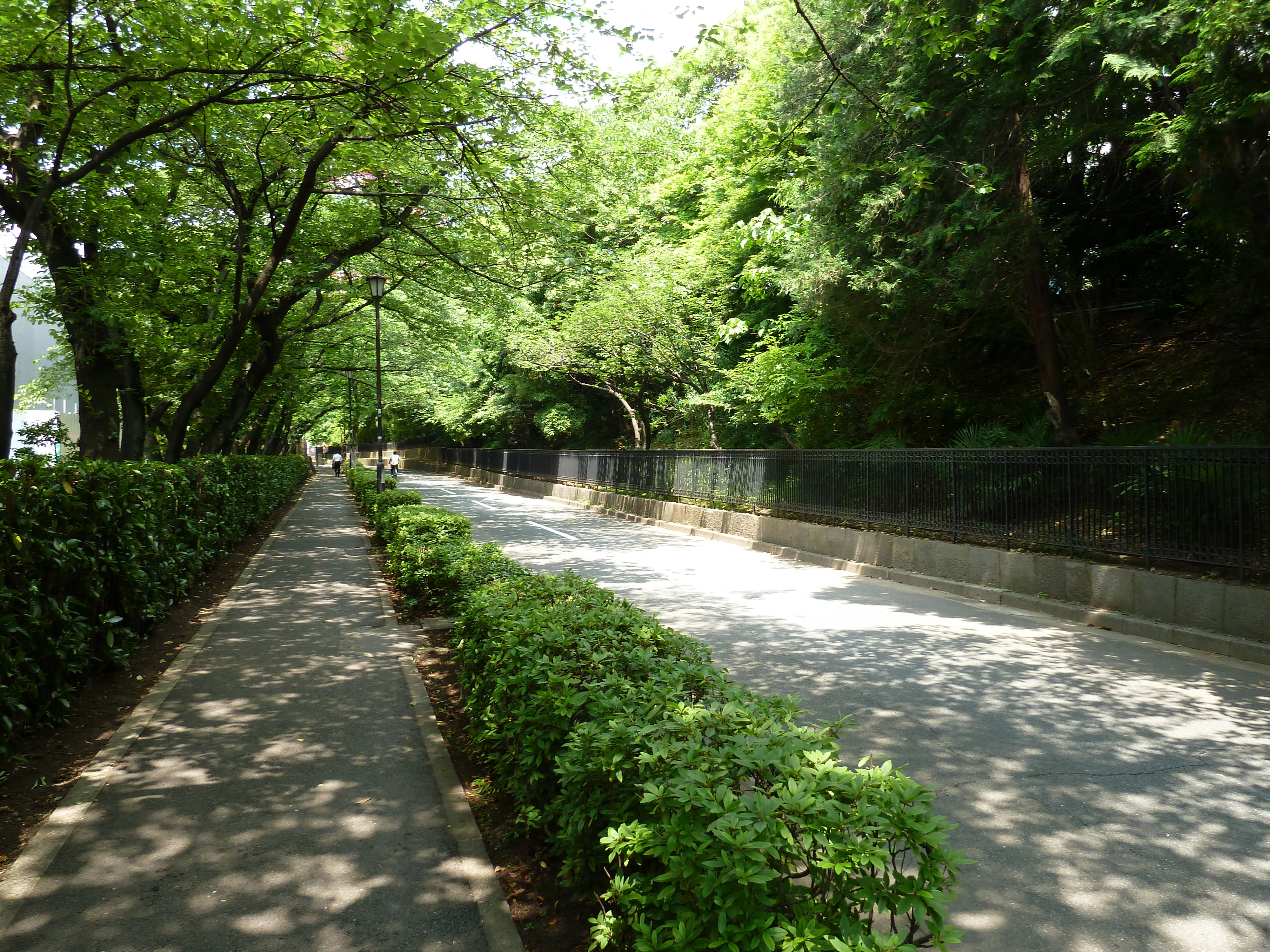 Picture Japan Tokyo Shiba Park 2010-06 61 - Recreation Shiba Park