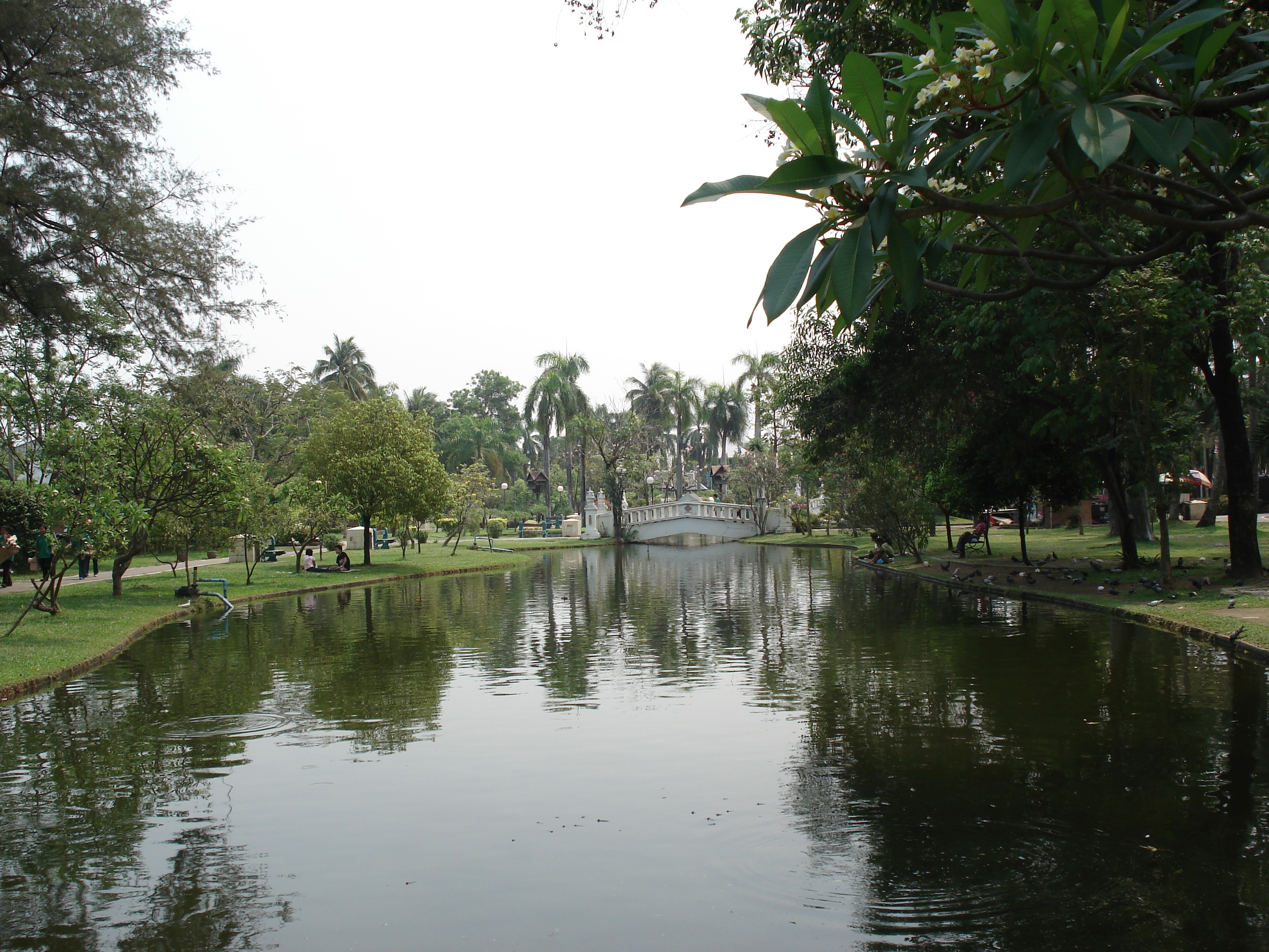 Picture Thailand Chiang Mai Inside Canal Buak Had Park 2006-04 0 - Recreation Buak Had Park