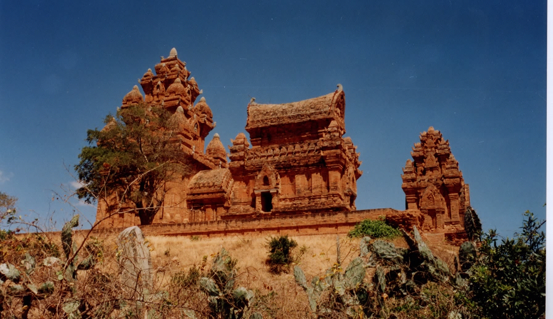 Picture Vietnam Phan Rang 1995-12 0 - Tour Phan Rang