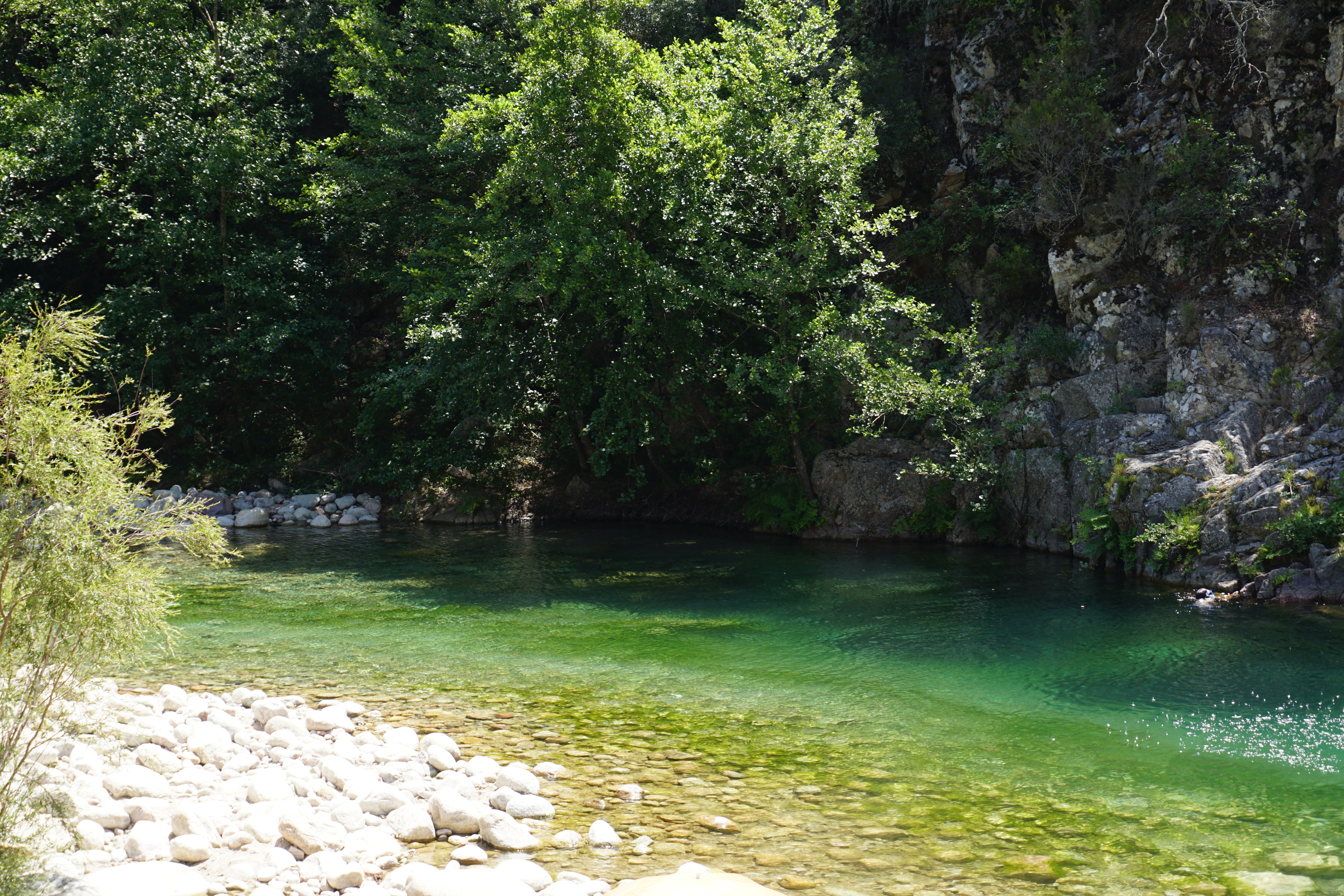 Picture France Corsica Solenzara 2017-07 0 - Tours Solenzara