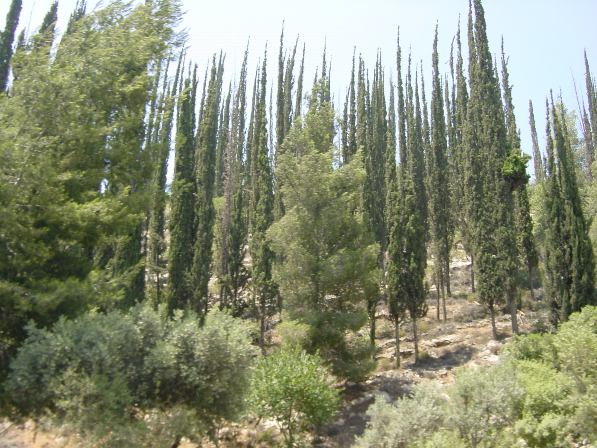 Picture Israel Road 2001-07 16 - Discovery Road