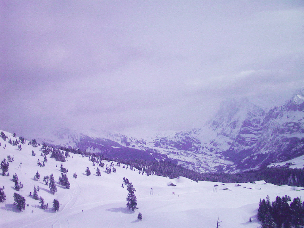 Picture Swiss Grindelwald 1999-04 13 - Center Grindelwald