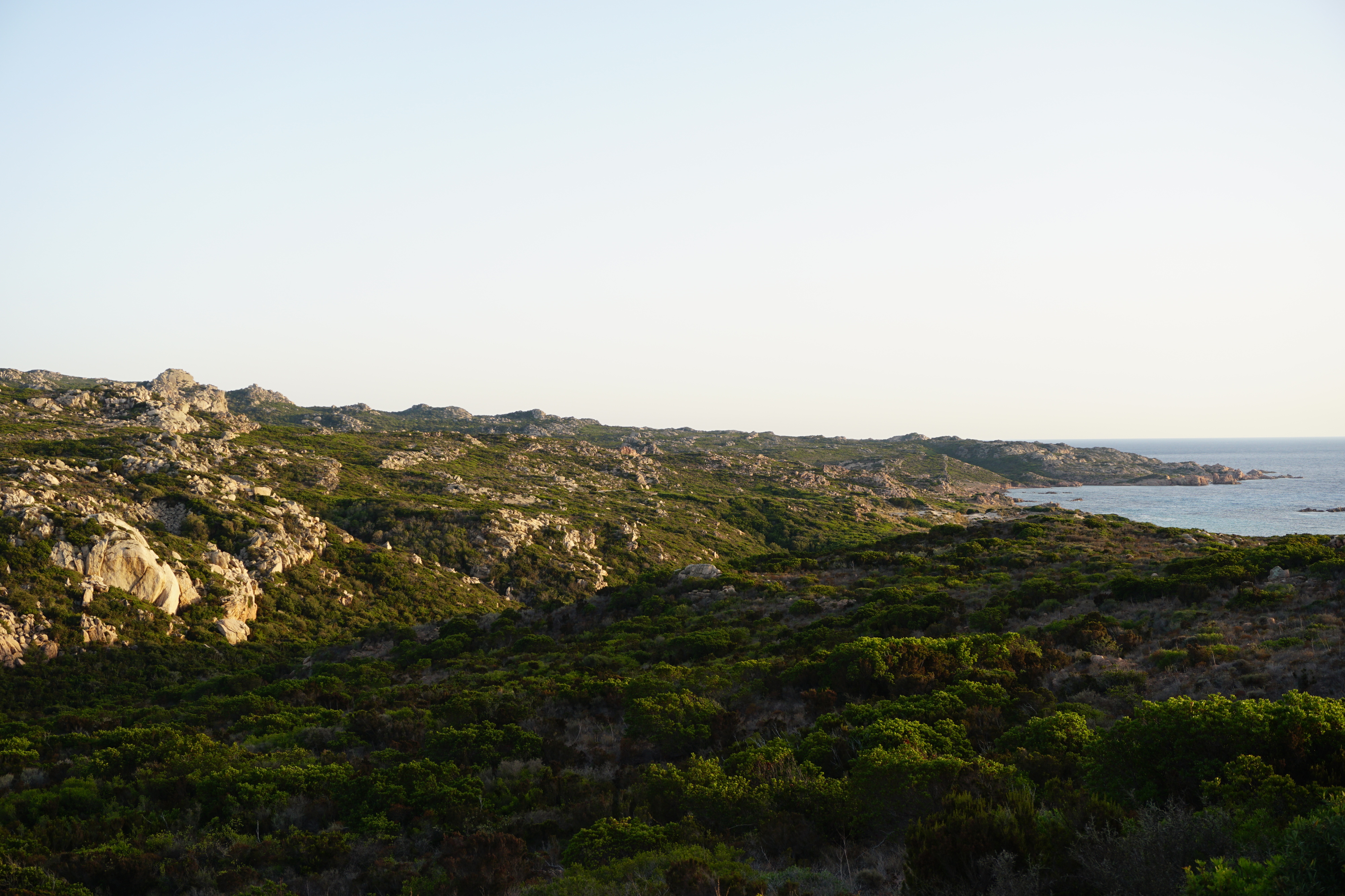 Picture France Corsica Tonnara Beach 2017-07 21 - Recreation Tonnara Beach