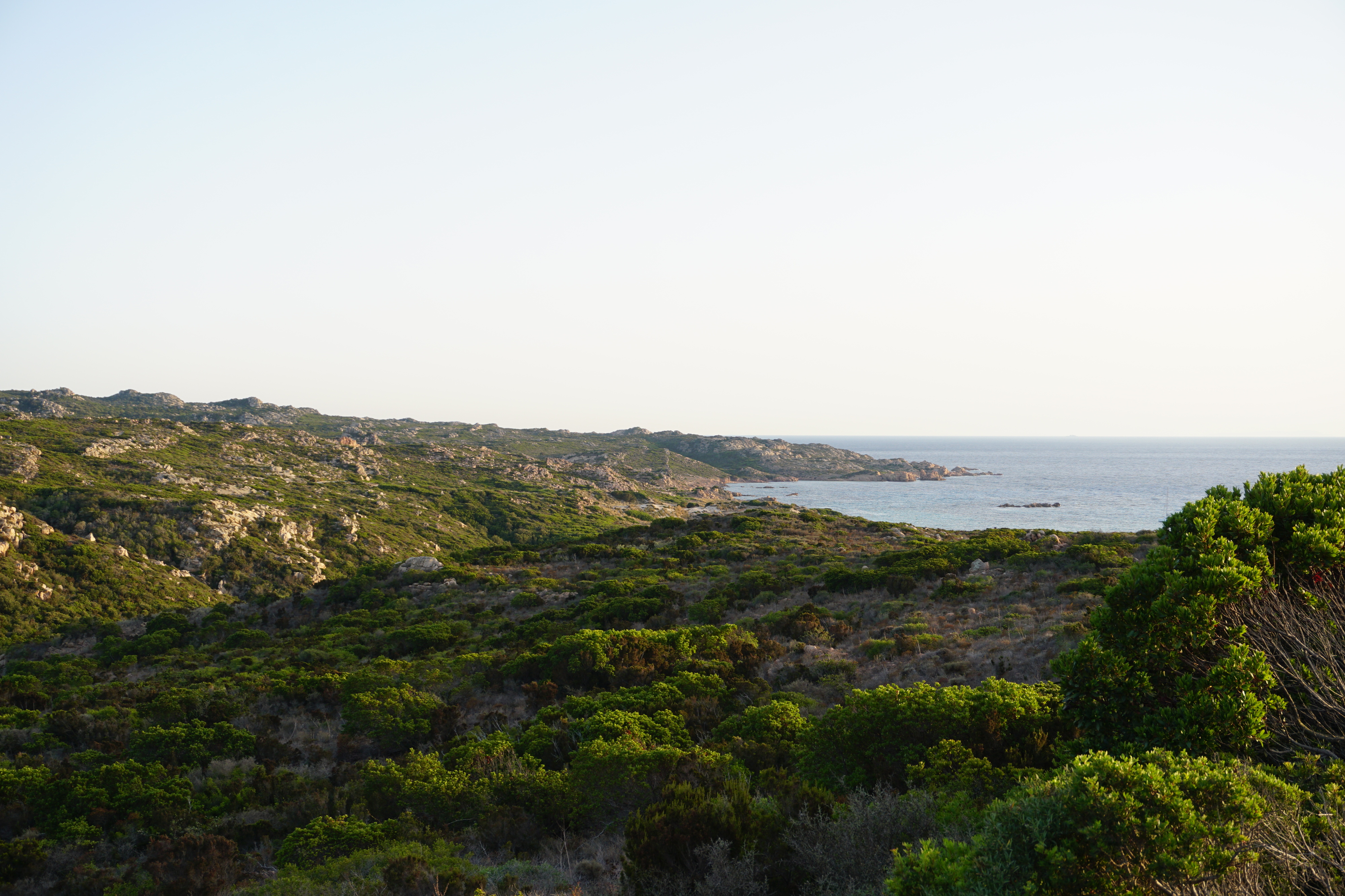 Picture France Corsica Tonnara Beach 2017-07 20 - Recreation Tonnara Beach