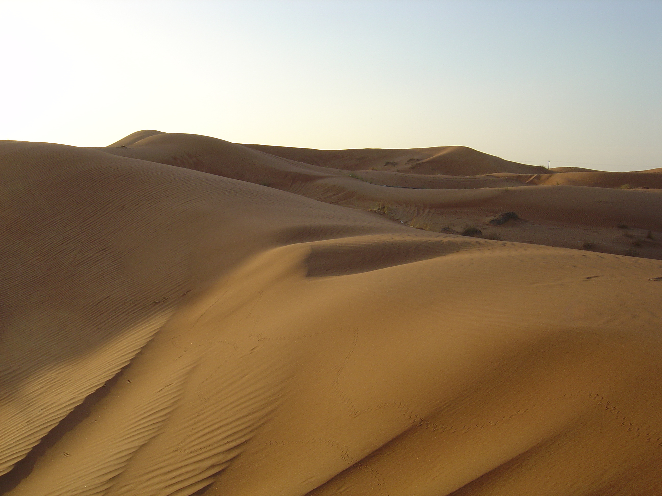 Picture United Arab Emirates Al Ain Desert 2005-11 5 - Journey Desert