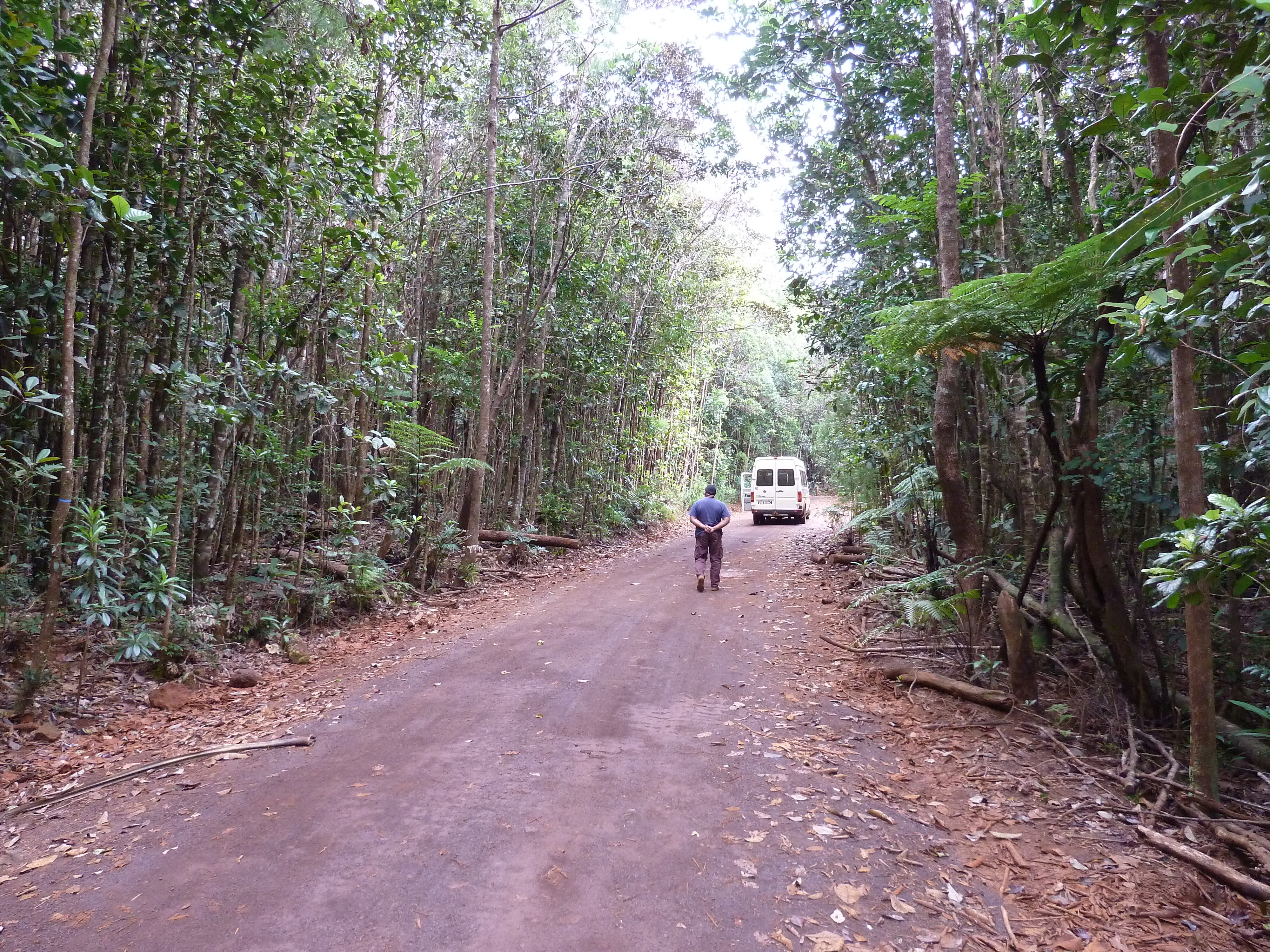 Picture New Caledonia Parc de la Riviere Bleue 2010-05 1 - Journey Parc de la Riviere Bleue