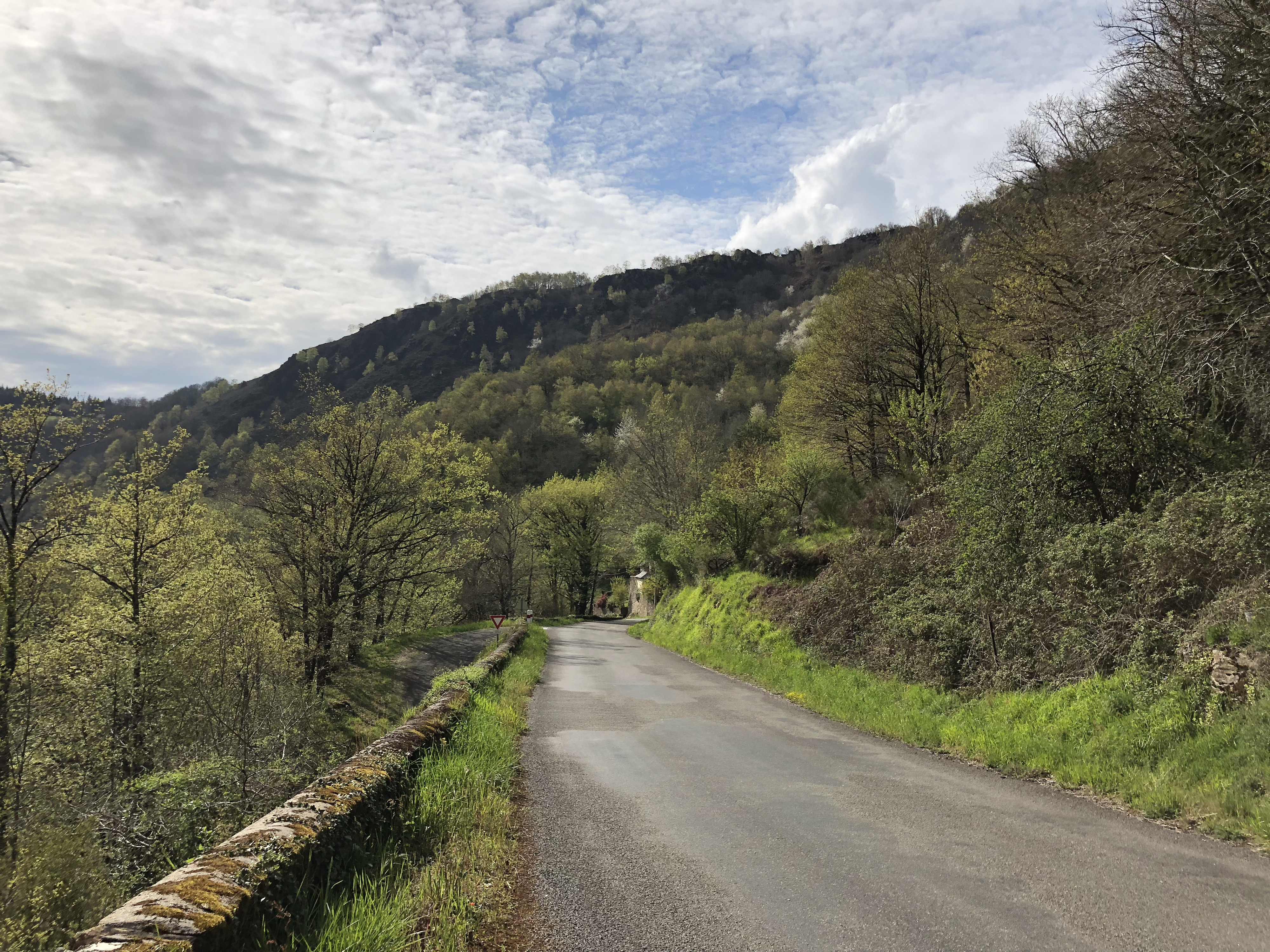 Picture France Conques 2018-04 108 - Around Conques