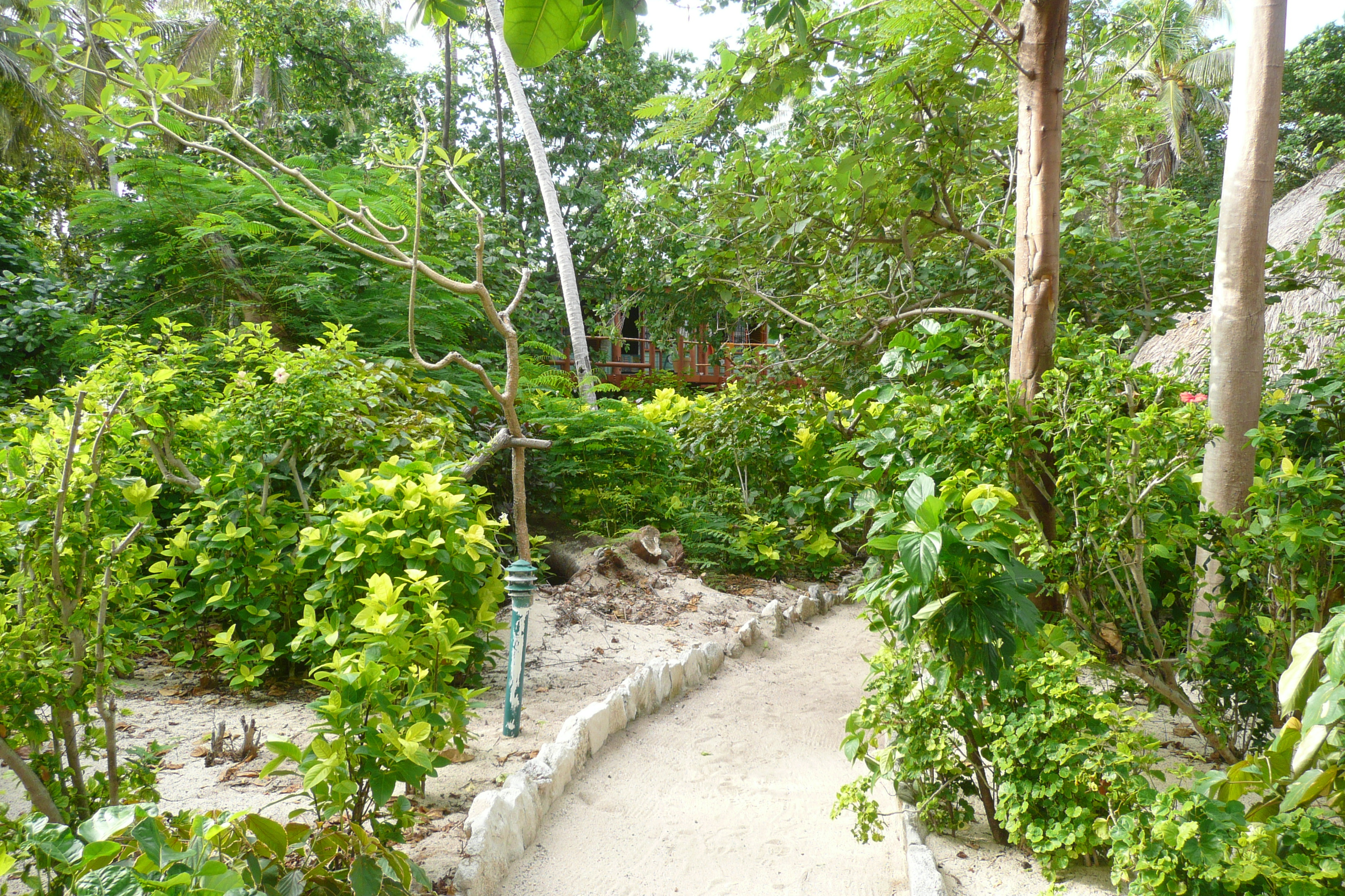 Picture Fiji Beachcomber Island 2010-05 27 - Around Beachcomber Island