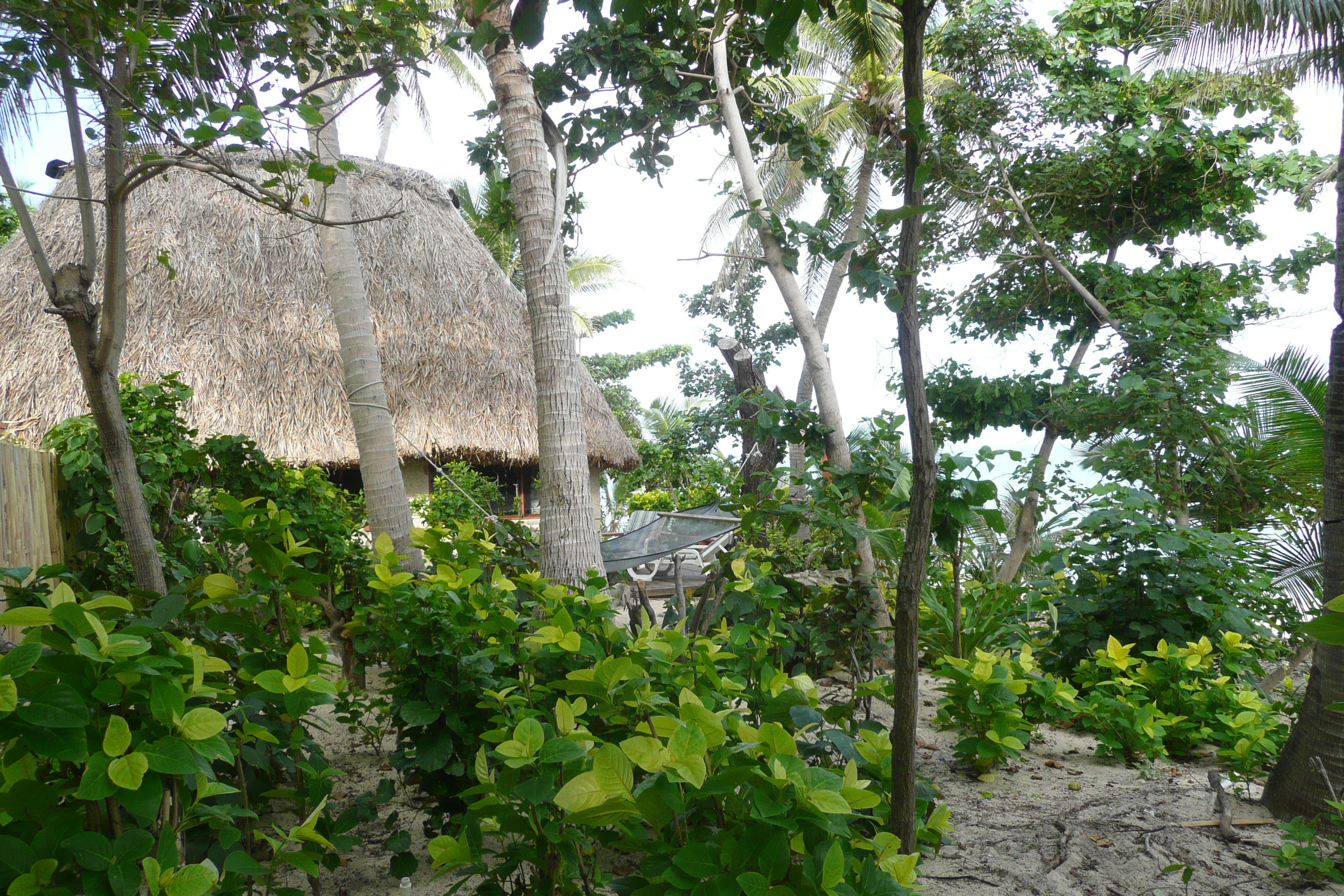 Picture Fiji Beachcomber Island 2010-05 33 - Recreation Beachcomber Island