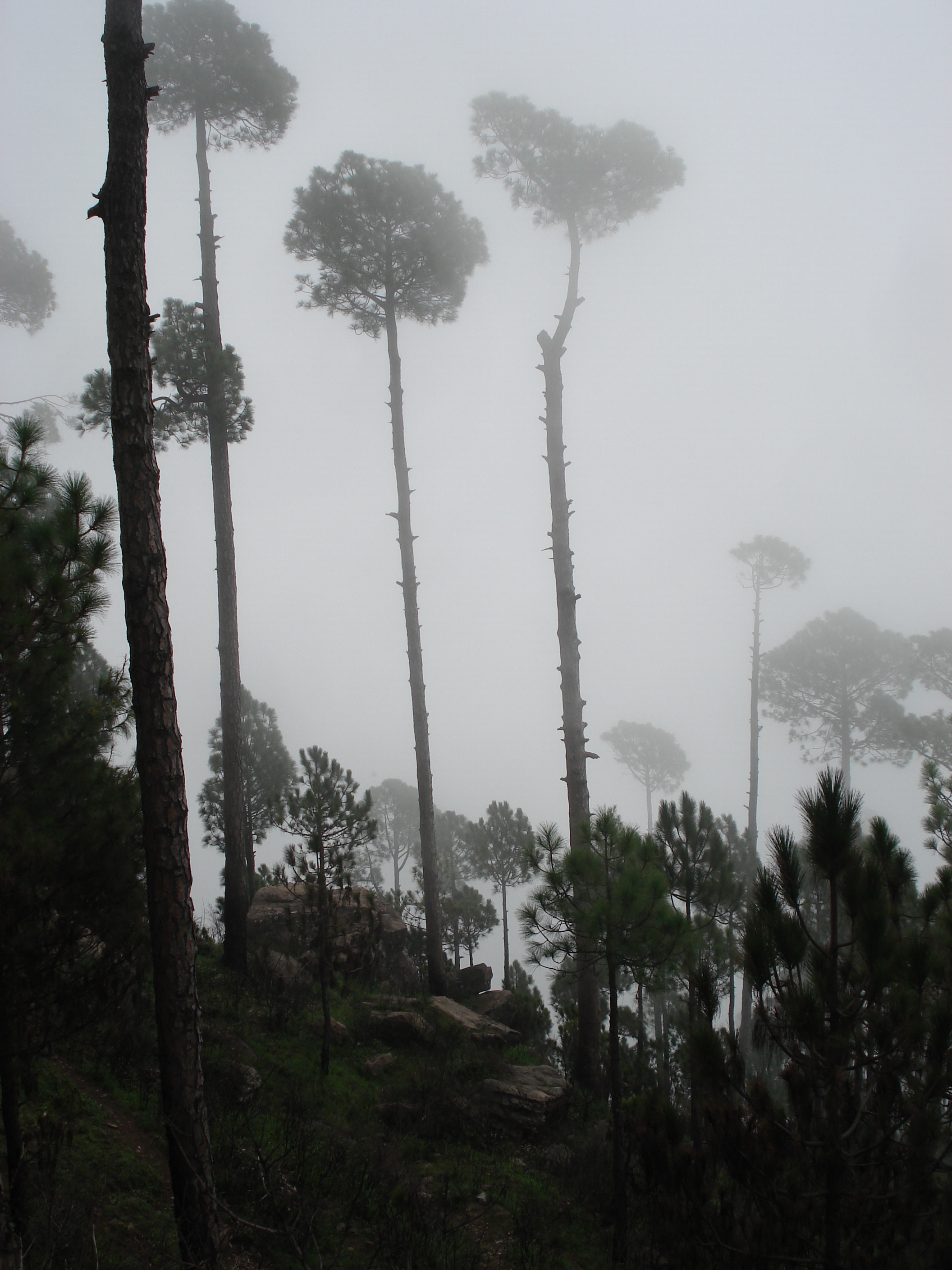 Picture Pakistan Murree 2006-08 156 - Recreation Murree