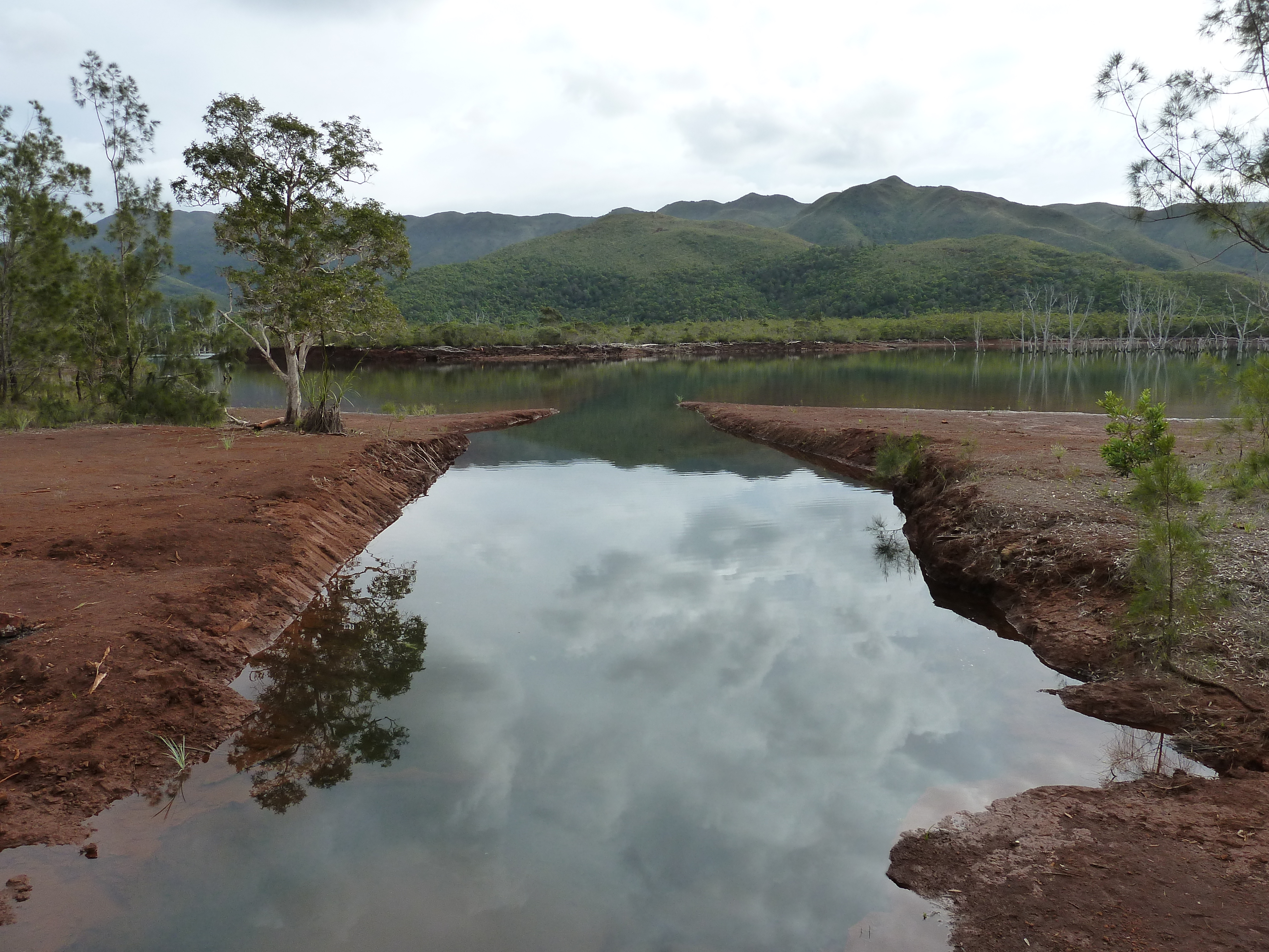 Picture New Caledonia Parc de la Riviere Bleue 2010-05 11 - Journey Parc de la Riviere Bleue