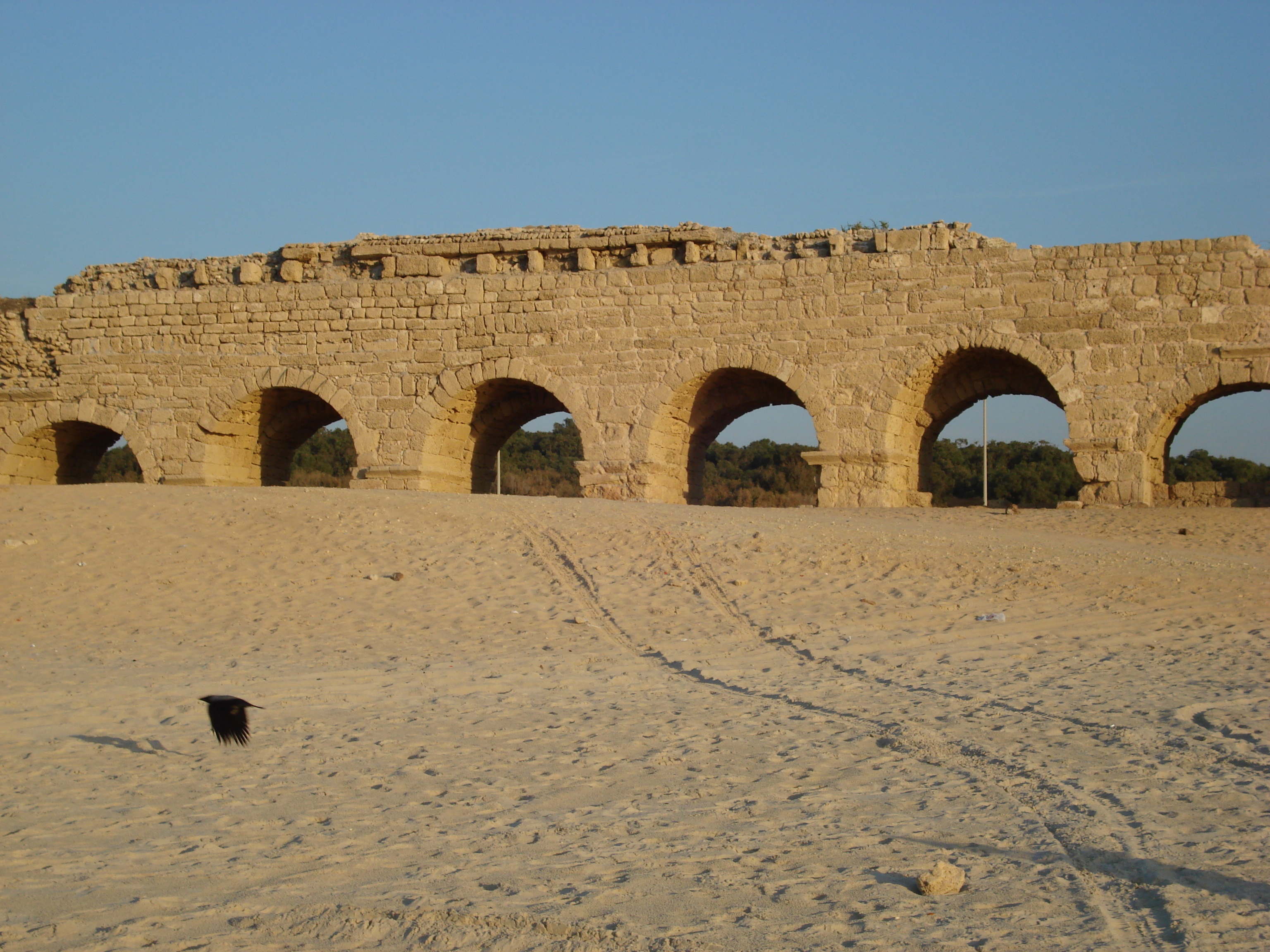 Picture Israel Caesarea 2006-12 171 - Around Caesarea