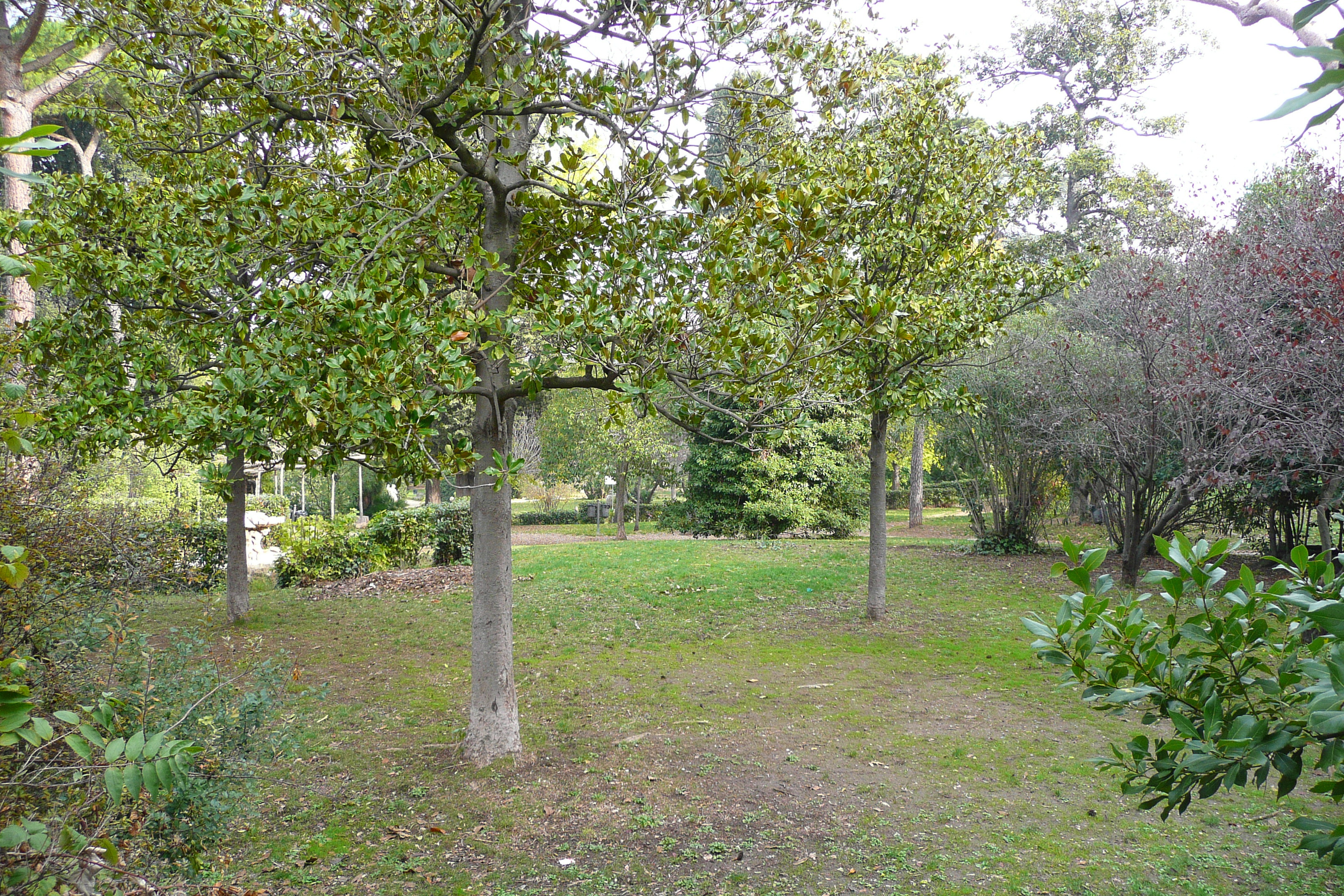 Picture Italy Rome Villa Sciarra 2007-11 1 - Discovery Villa Sciarra