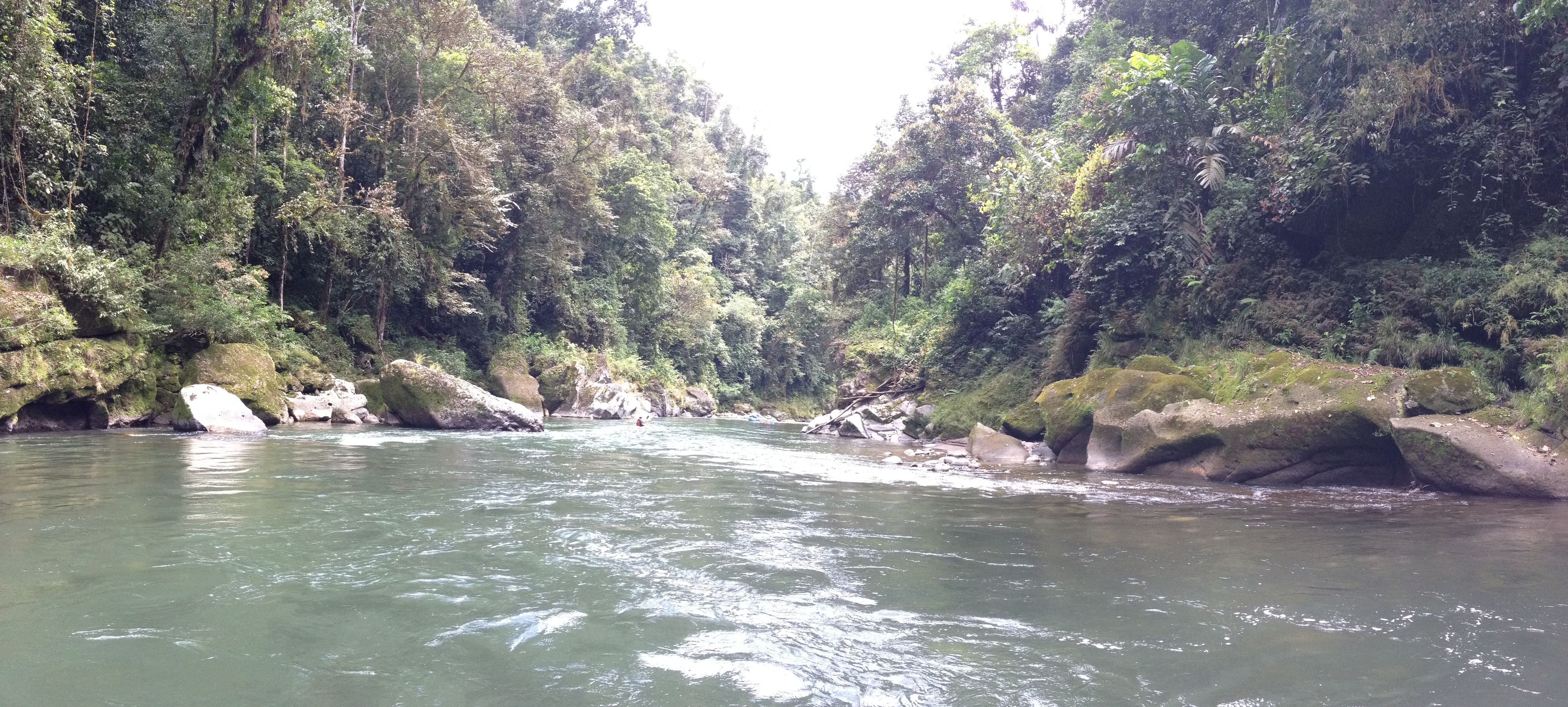 Picture Costa Rica Pacuare River 2015-03 165 - Tour Pacuare River