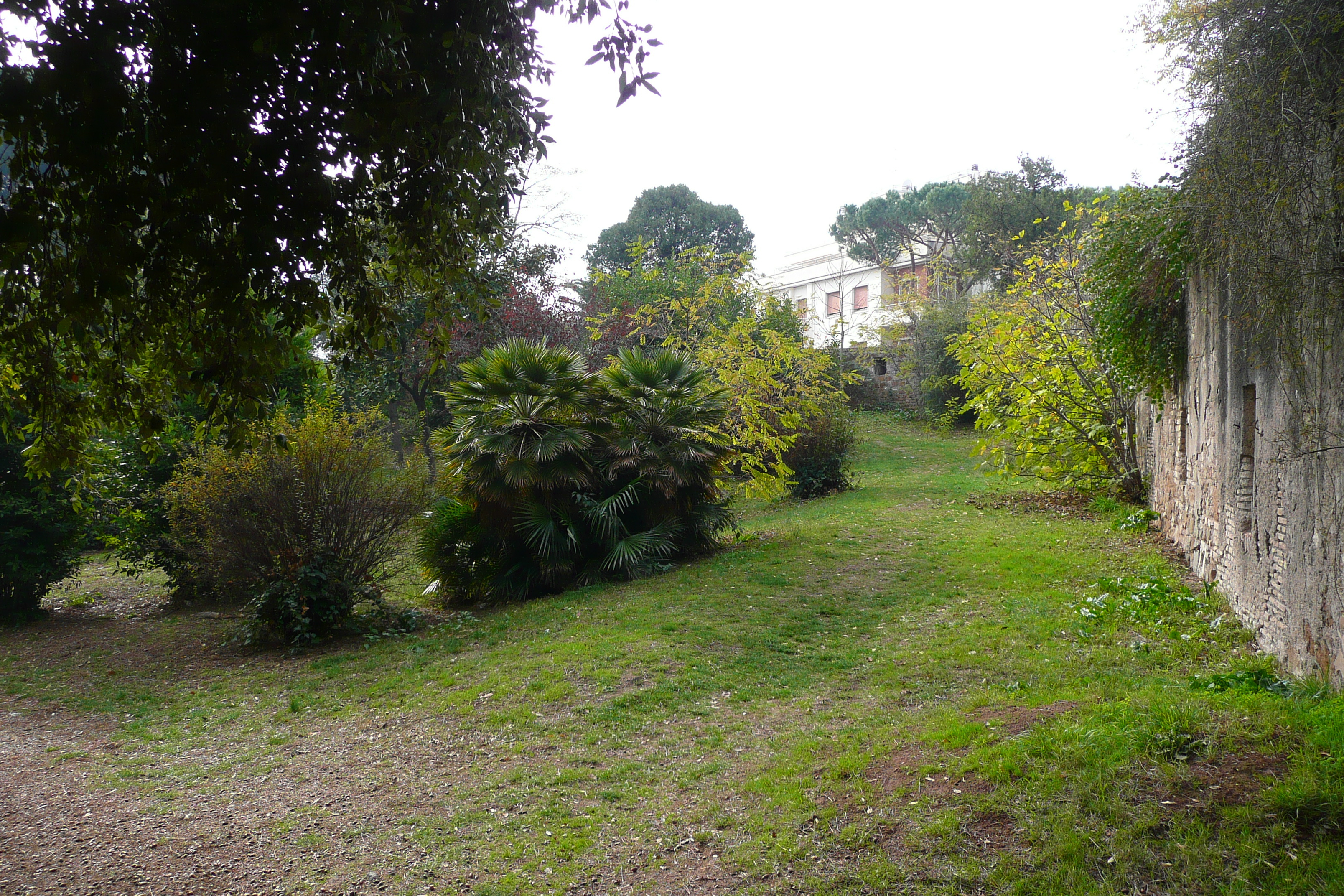 Picture Italy Rome Villa Sciarra 2007-11 10 - Tours Villa Sciarra