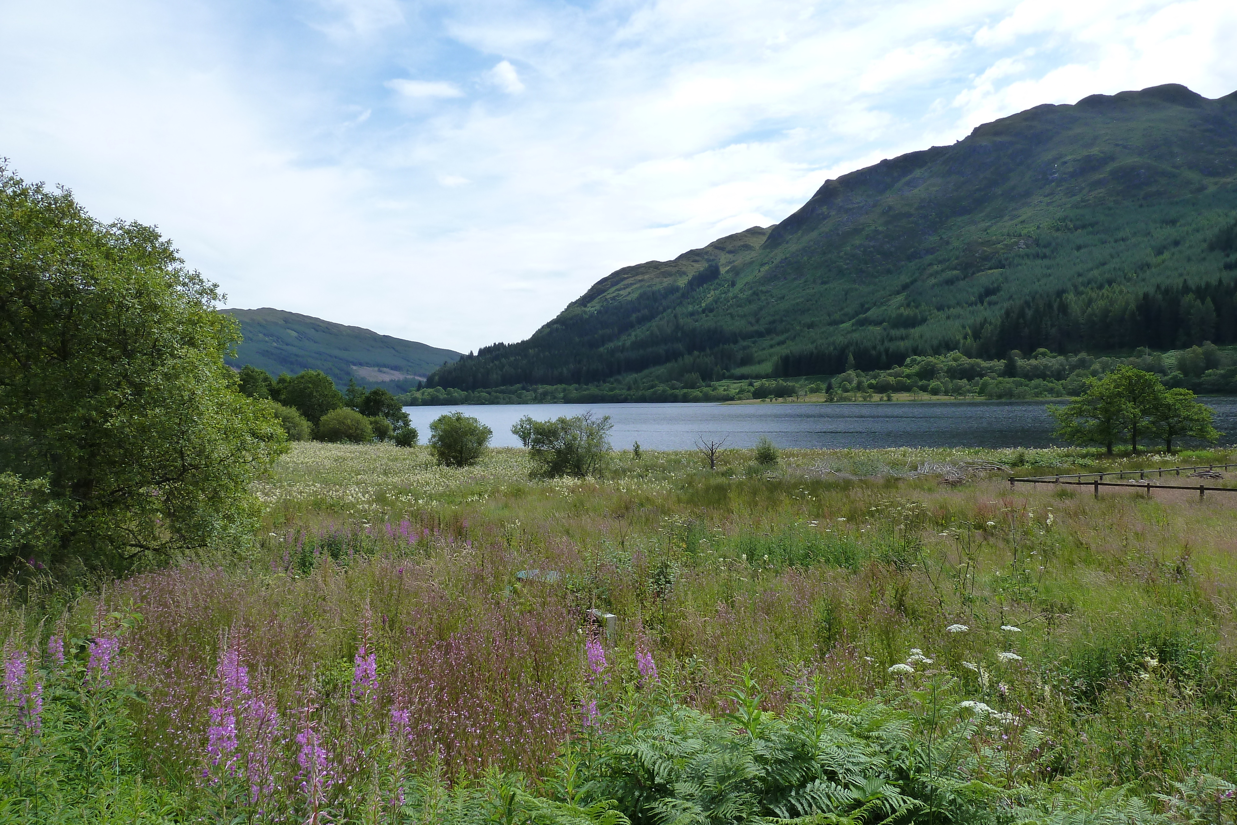 Picture United Kingdom The Trossachs 2011-07 101 - Tour The Trossachs