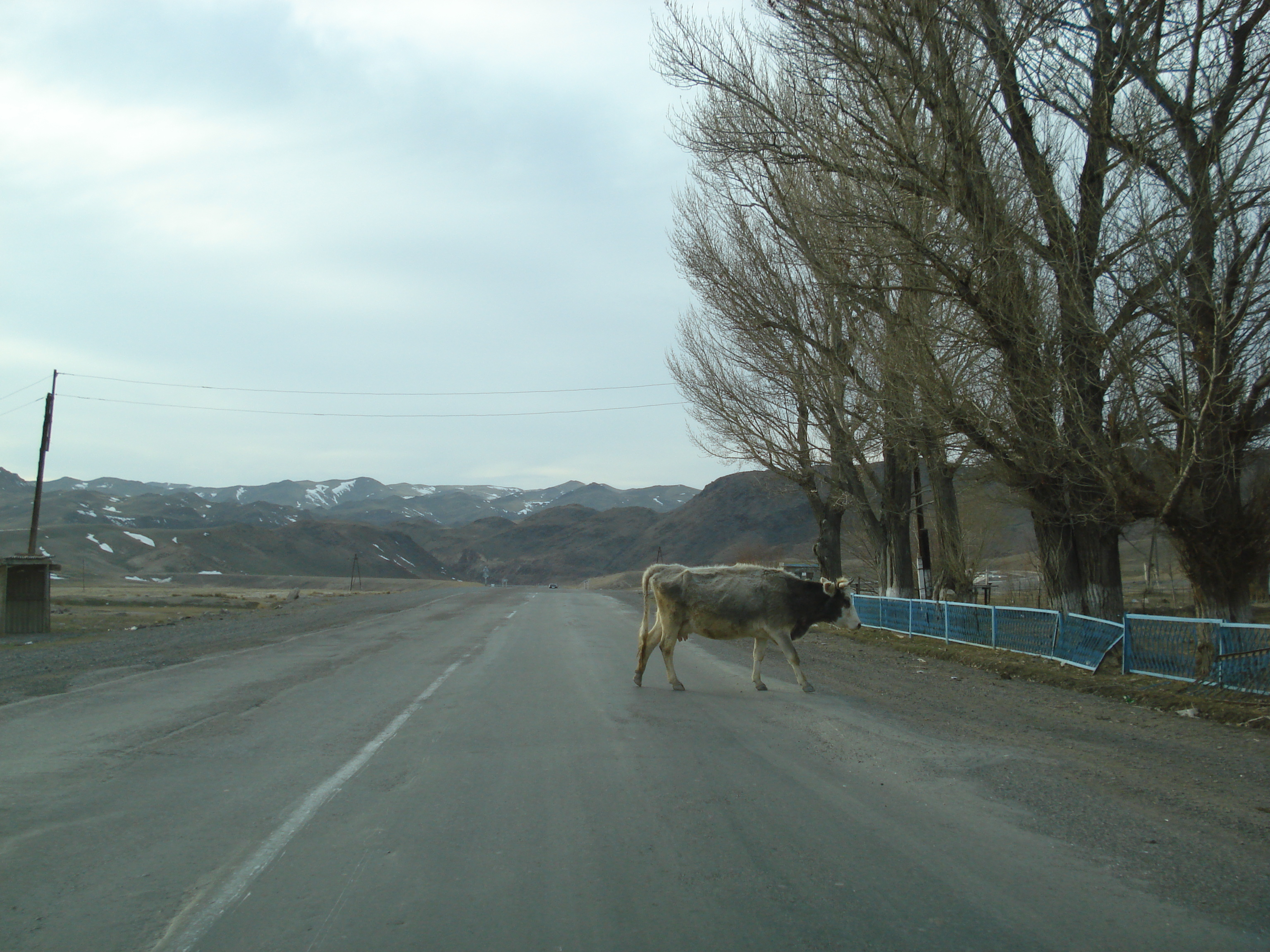 Picture Kazakhstan Almaty to Charyn Canyon road 2007-03 54 - Tours Almaty to Charyn Canyon road