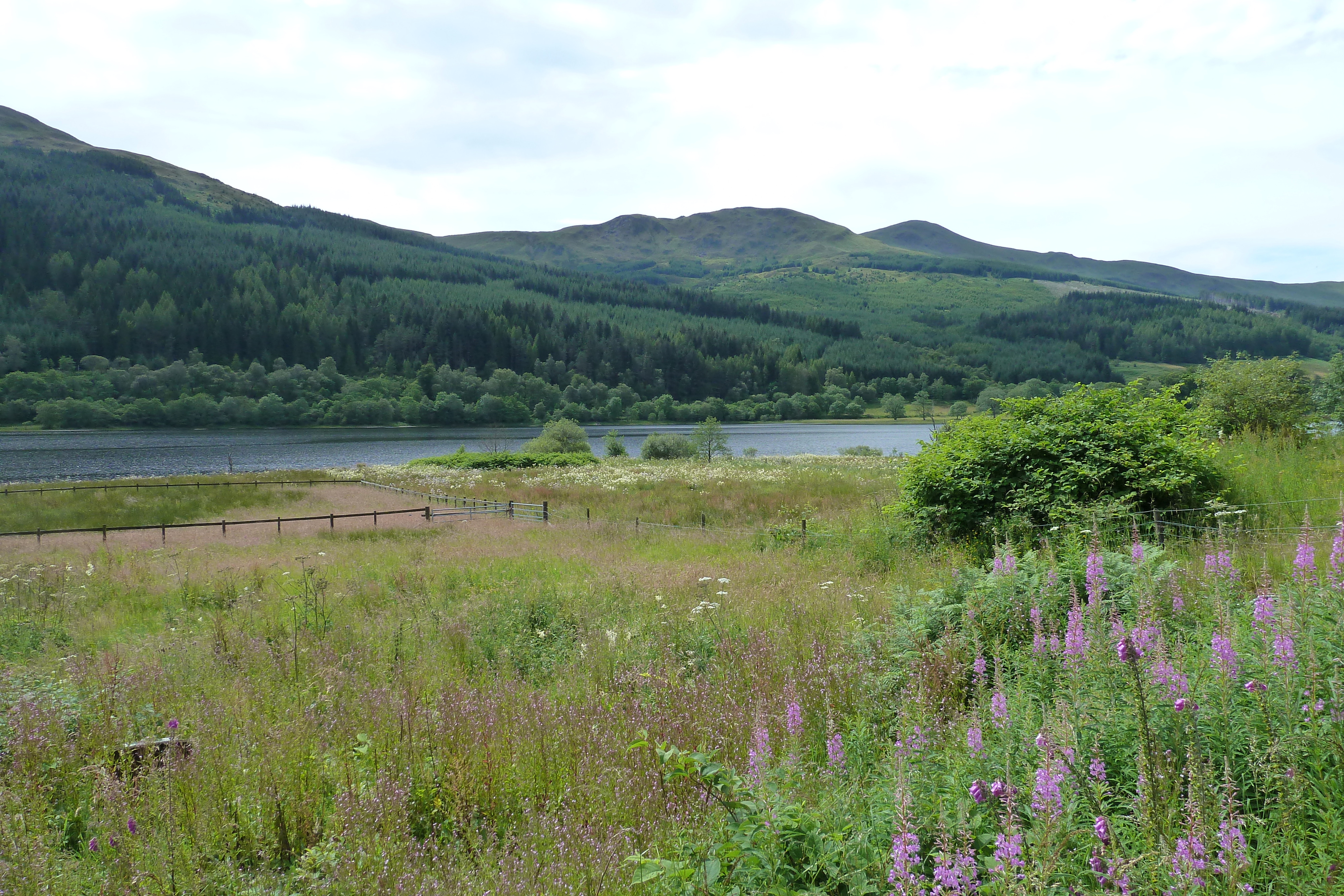 Picture United Kingdom The Trossachs 2011-07 115 - Tours The Trossachs