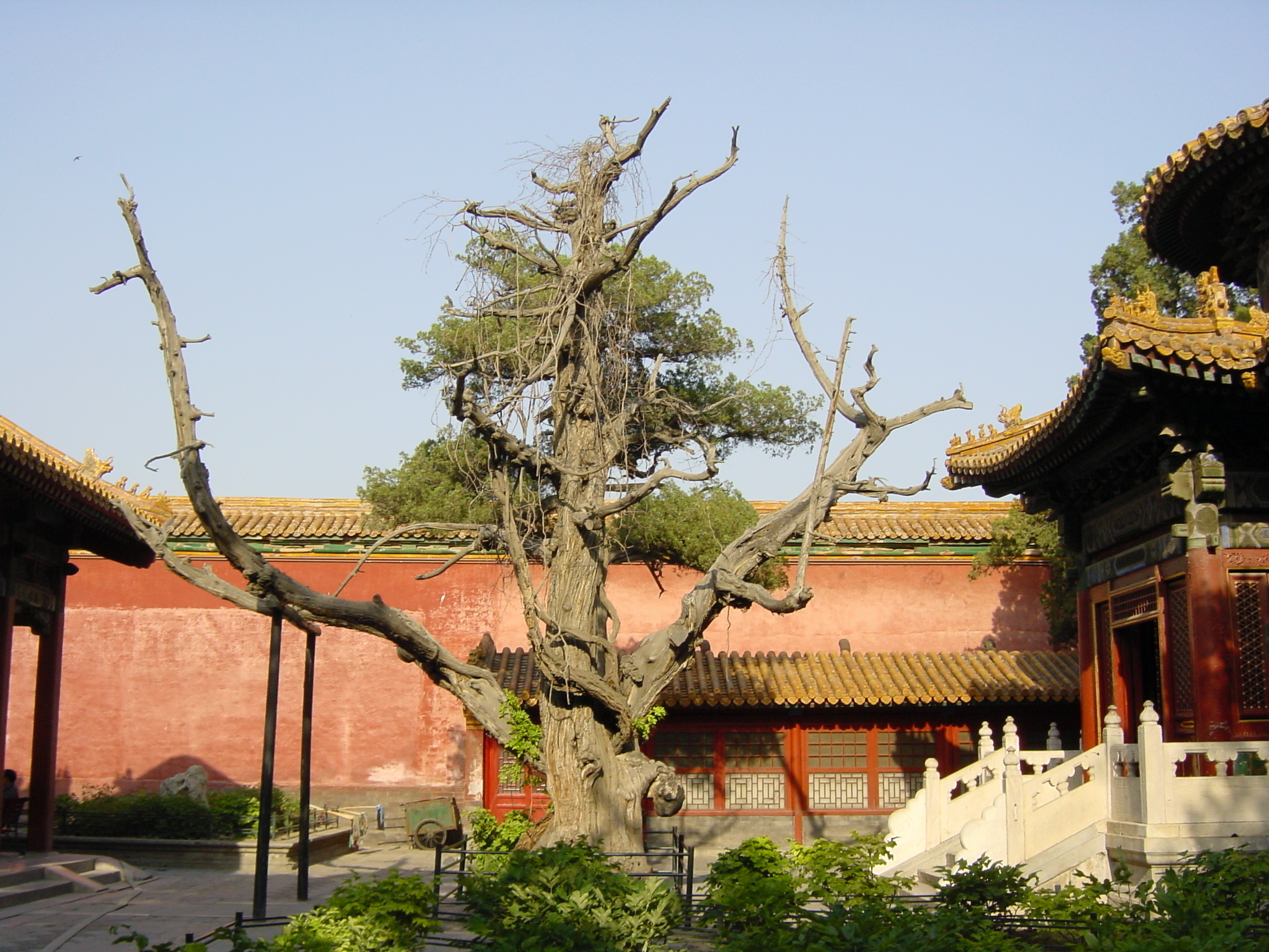 Picture China Beijing Forbidden City 2002-05 16 - Tours Forbidden City