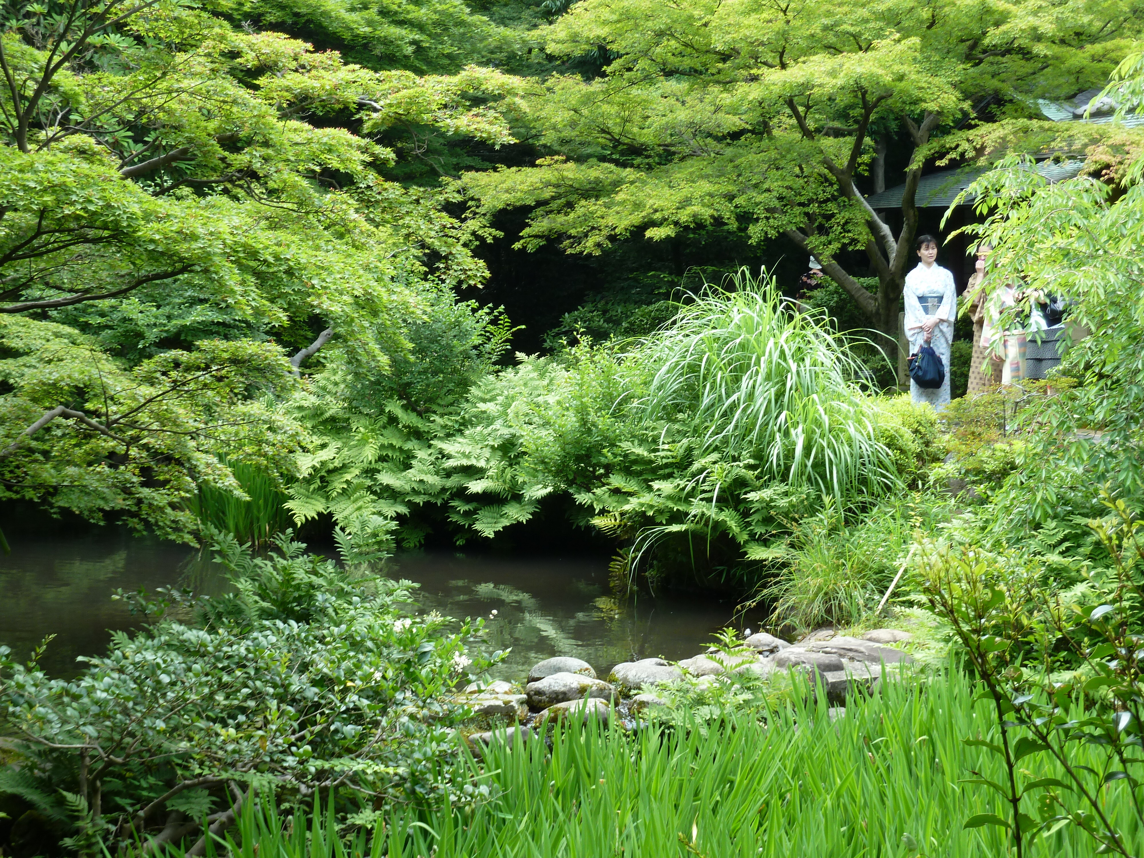 Picture Japan Tokyo Nezu Museum 2010-06 87 - Recreation Nezu Museum