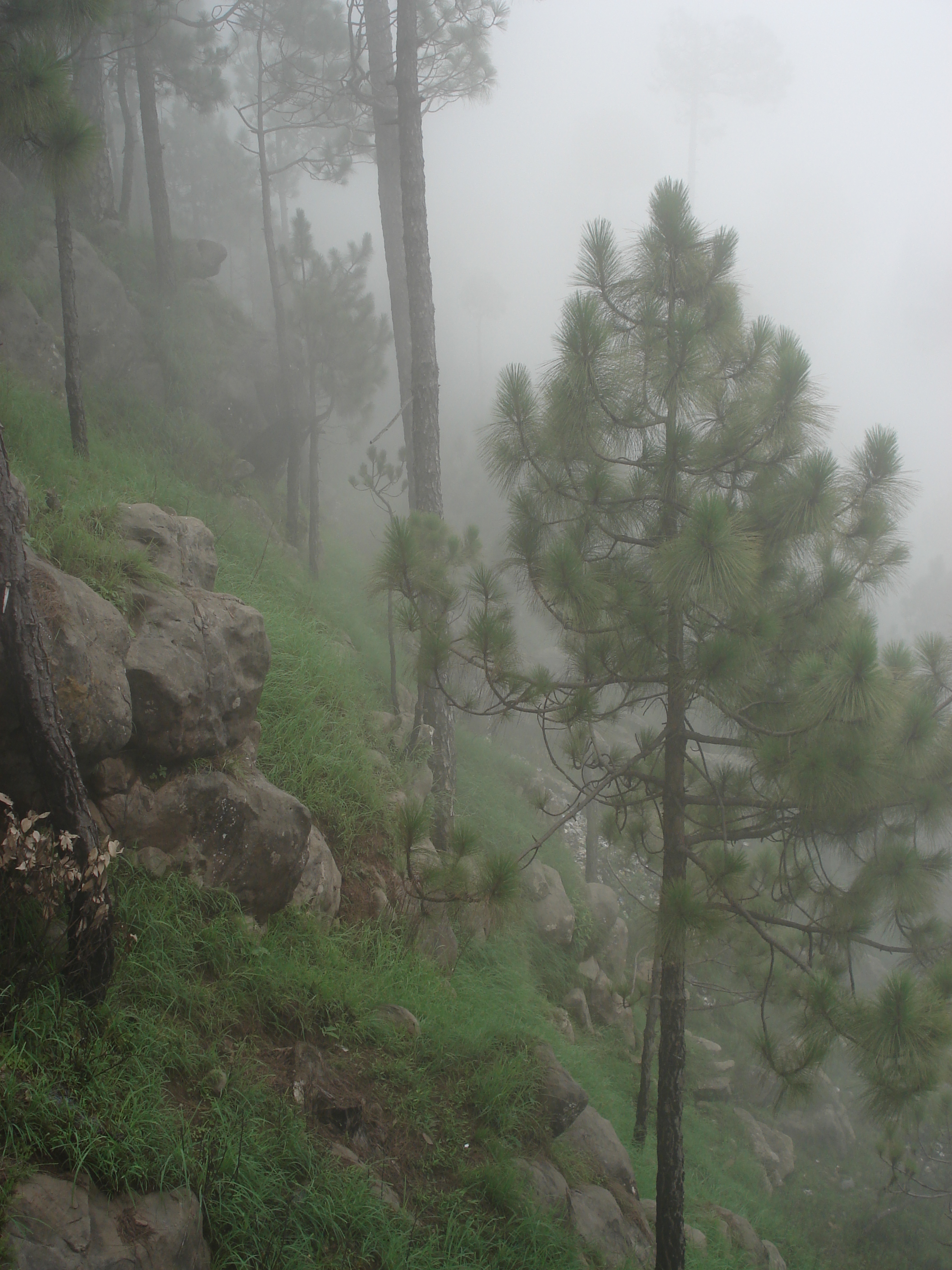 Picture Pakistan Murree 2006-08 40 - Journey Murree