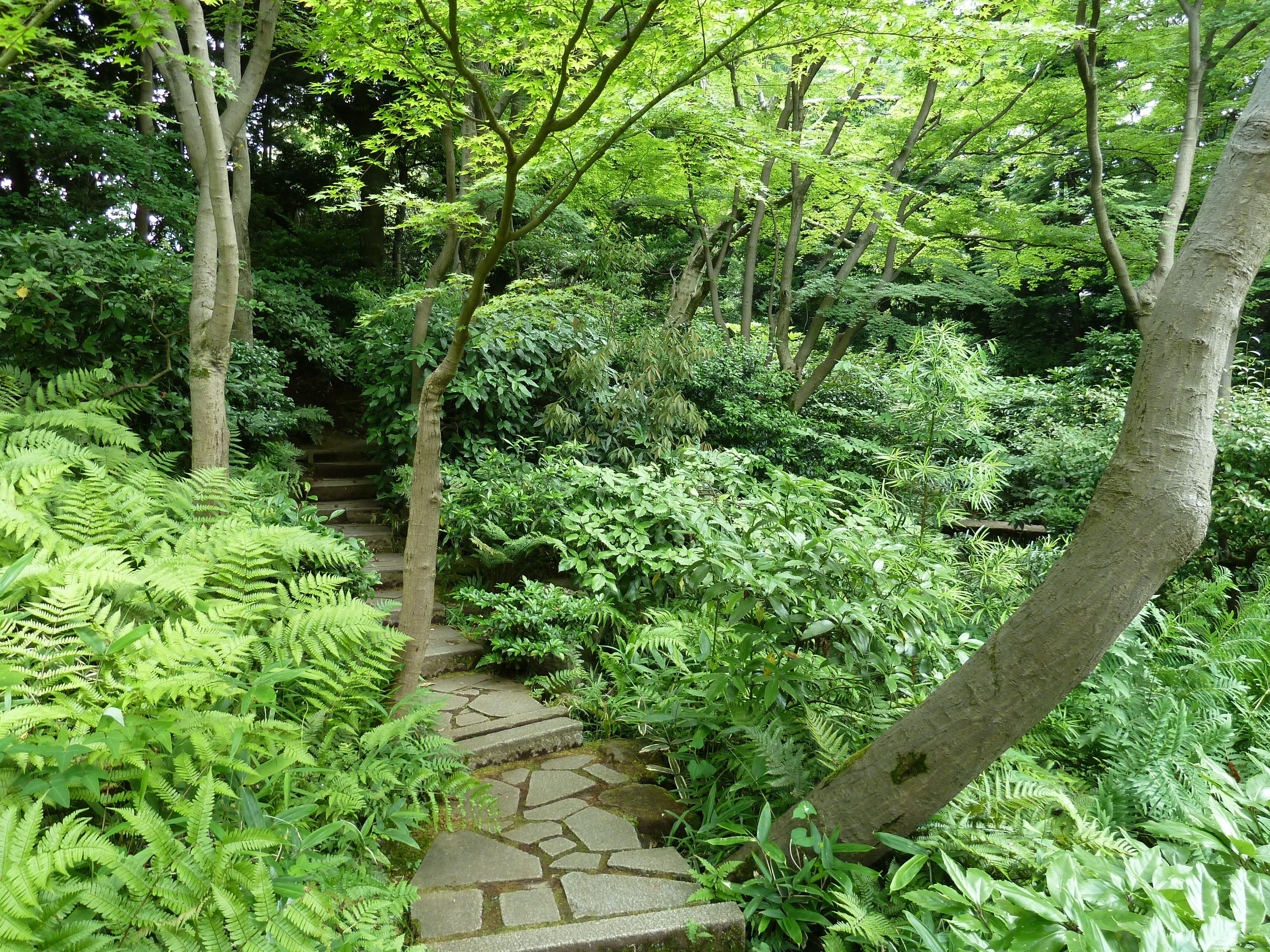 Picture Japan Tokyo Nezu Museum 2010-06 63 - Around Nezu Museum