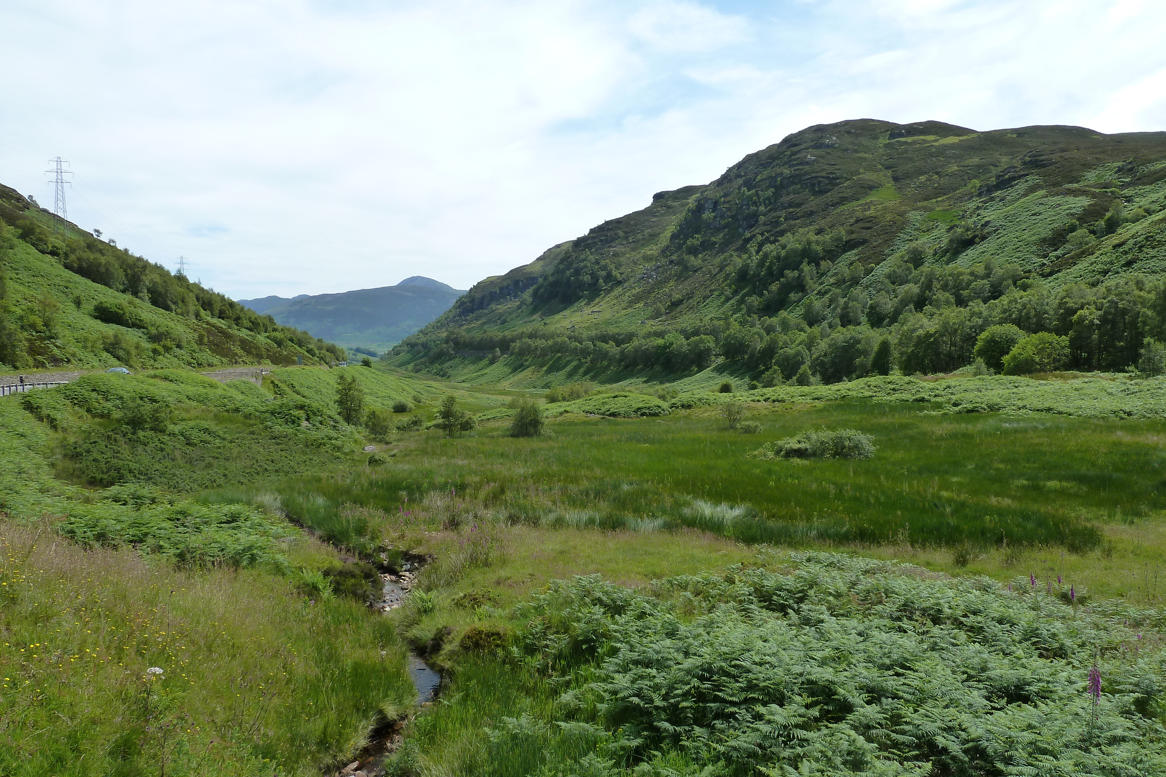 Picture United Kingdom The Trossachs 2011-07 78 - Center The Trossachs