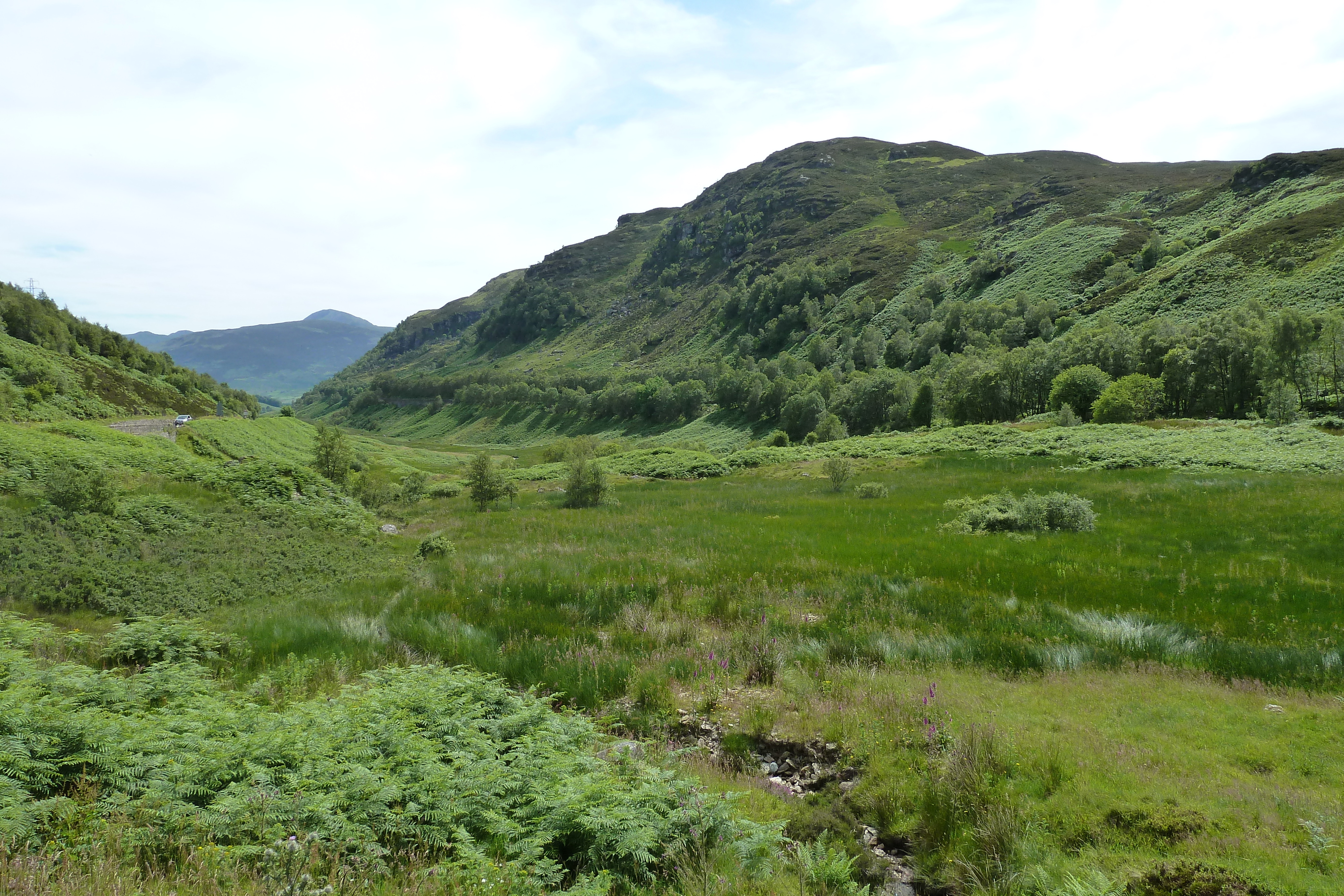 Picture United Kingdom The Trossachs 2011-07 73 - Tour The Trossachs