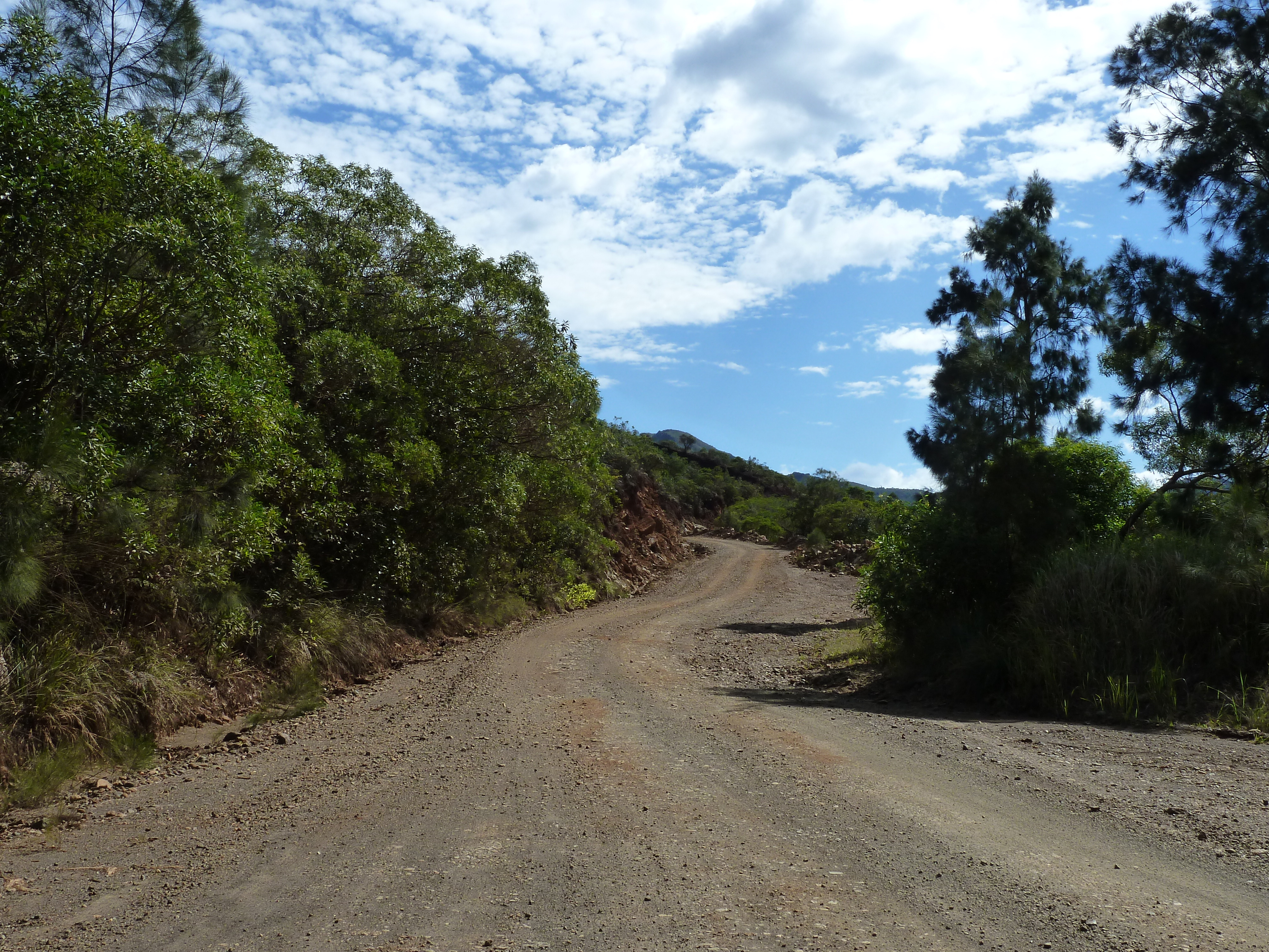 Picture New Caledonia Thio to Canala road 2010-05 21 - Journey Thio to Canala road